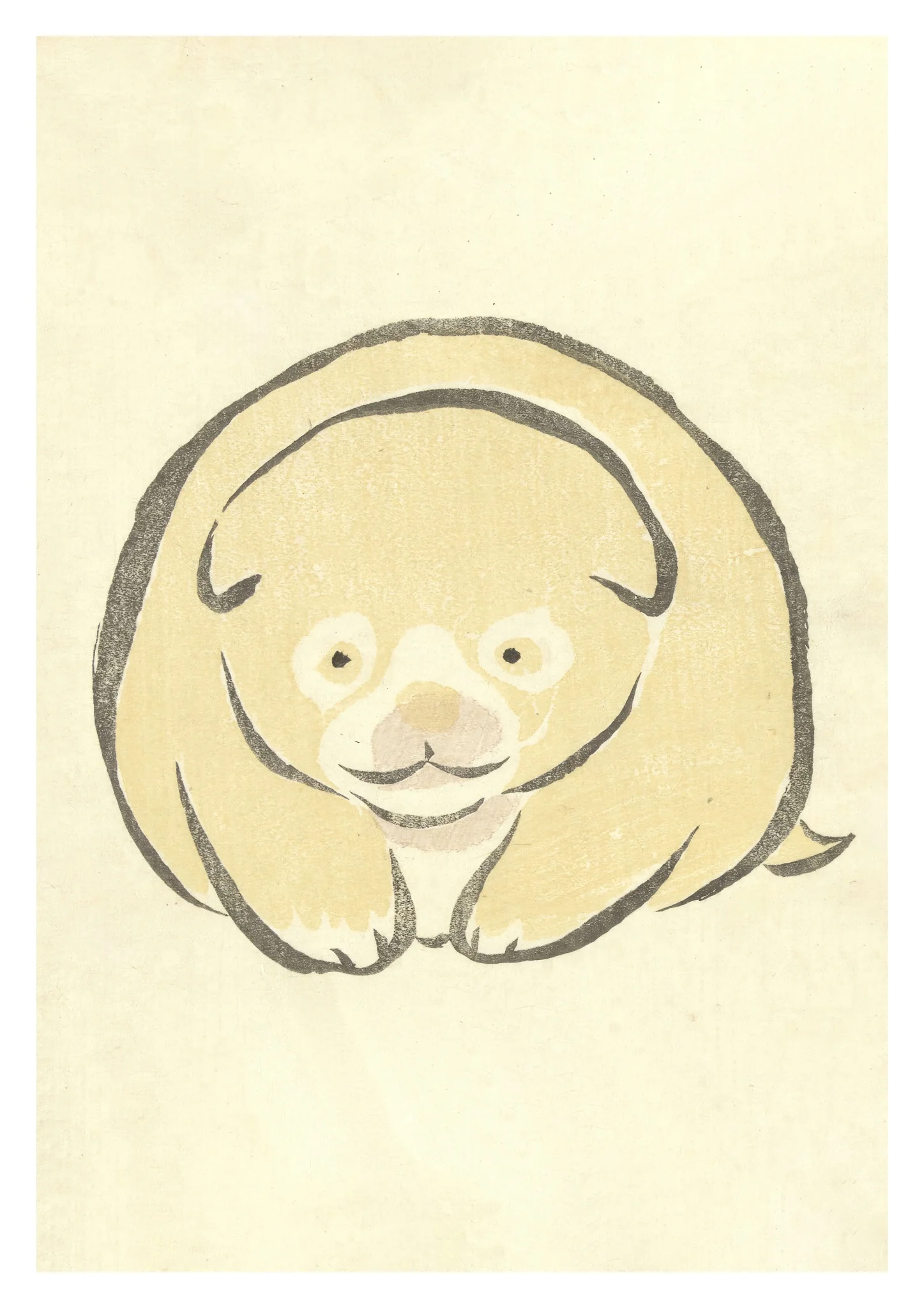 Puppy