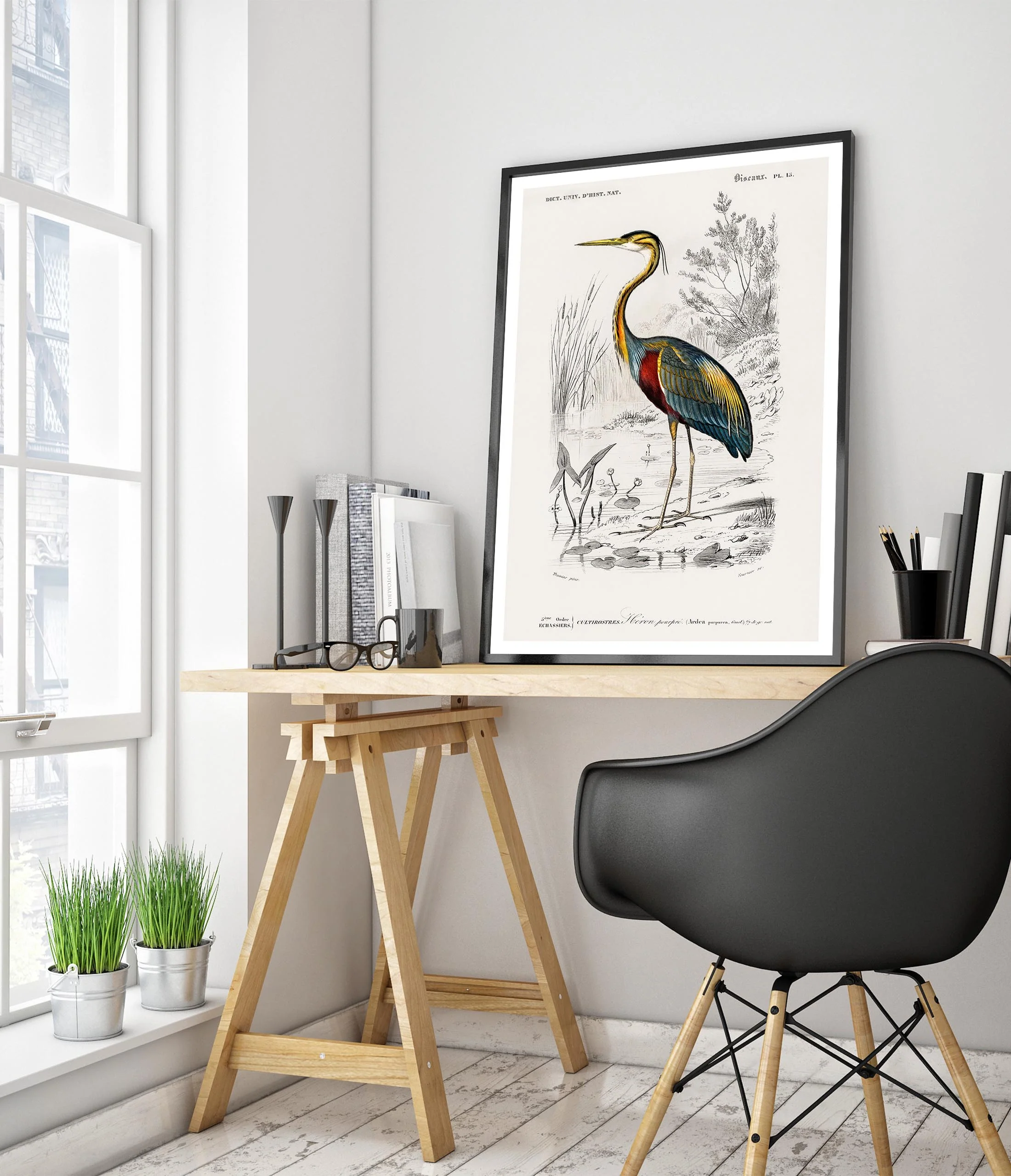 Purple Heron - Image 5