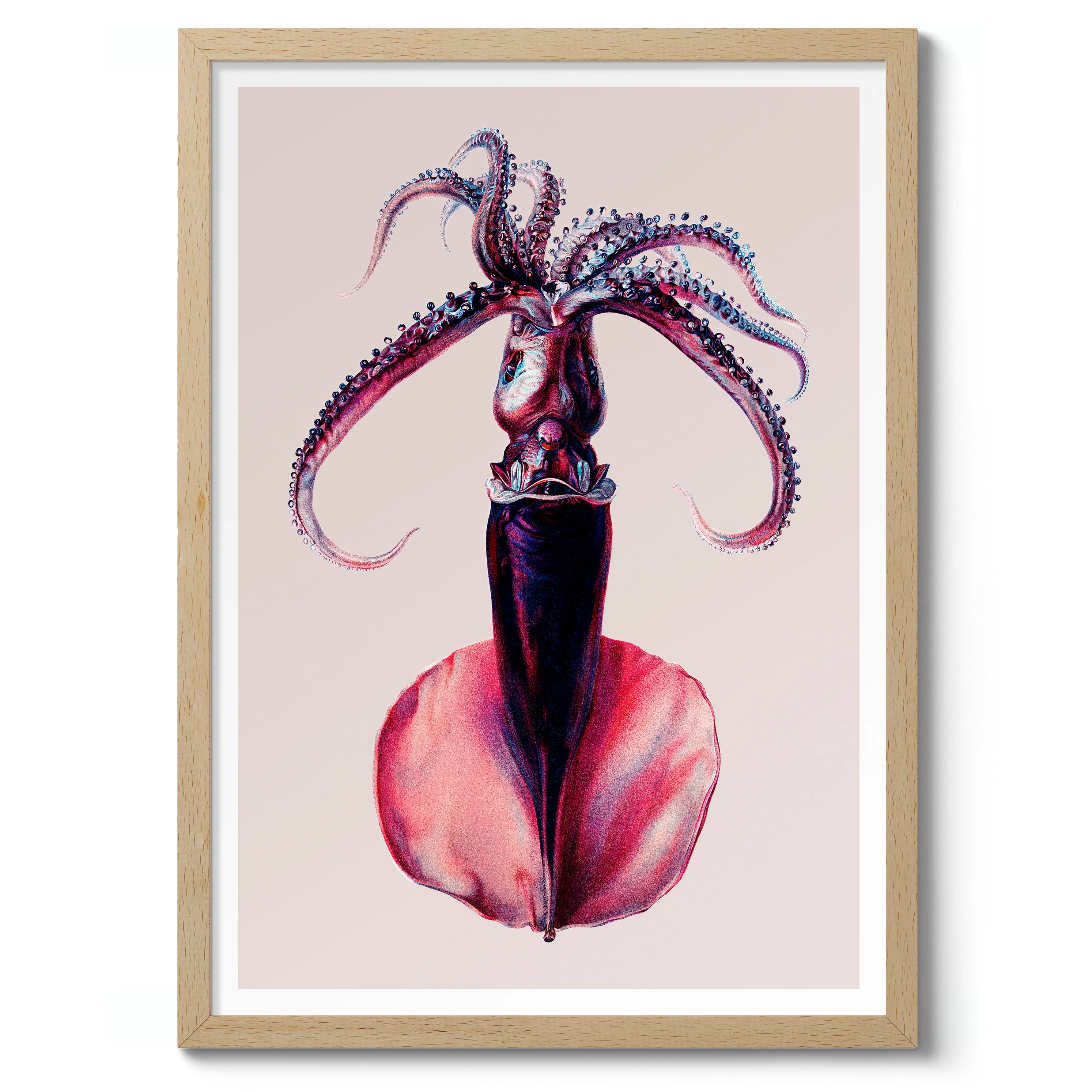 Purple Squid - Image 3