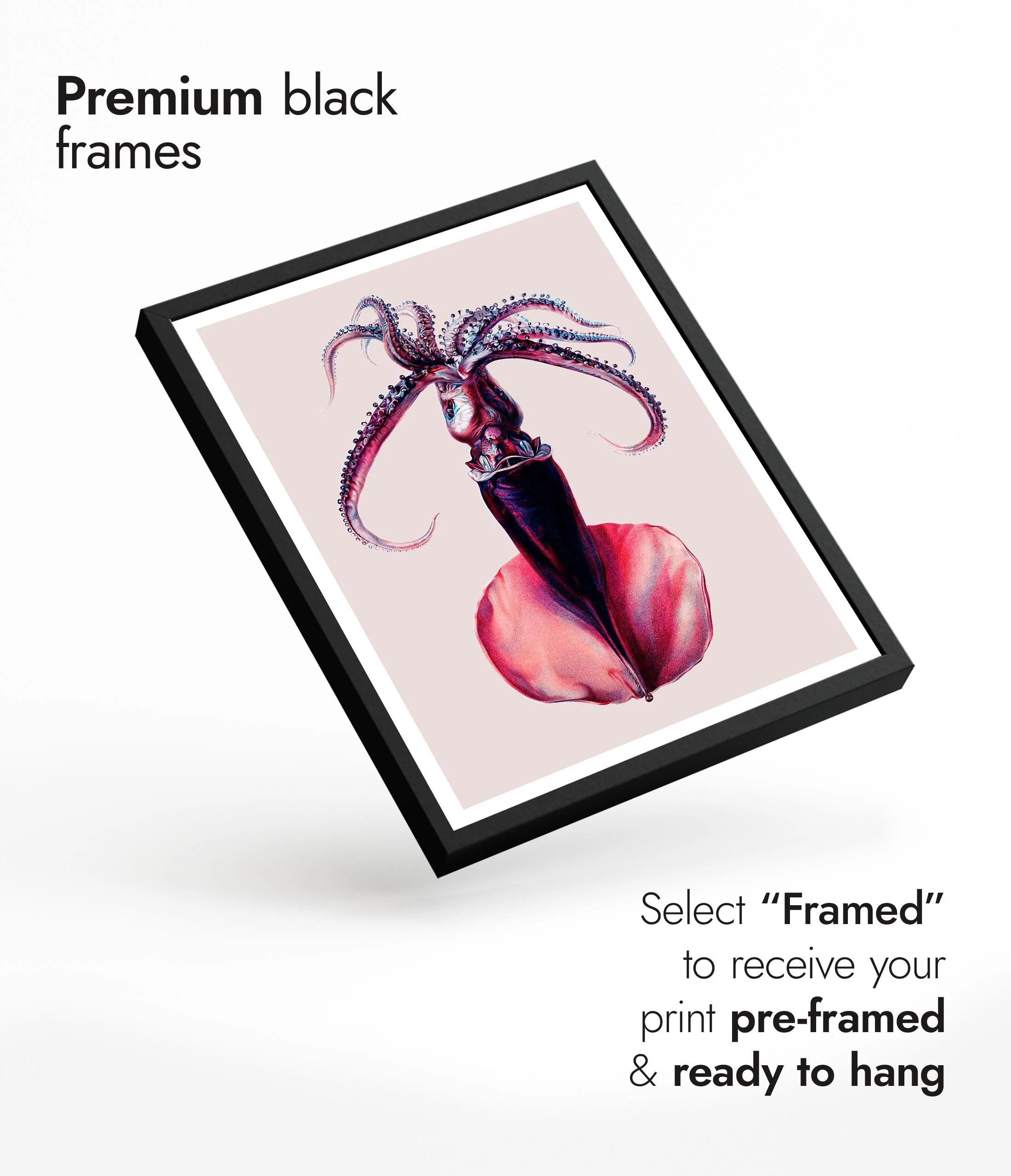 Purple Squid - Image 7