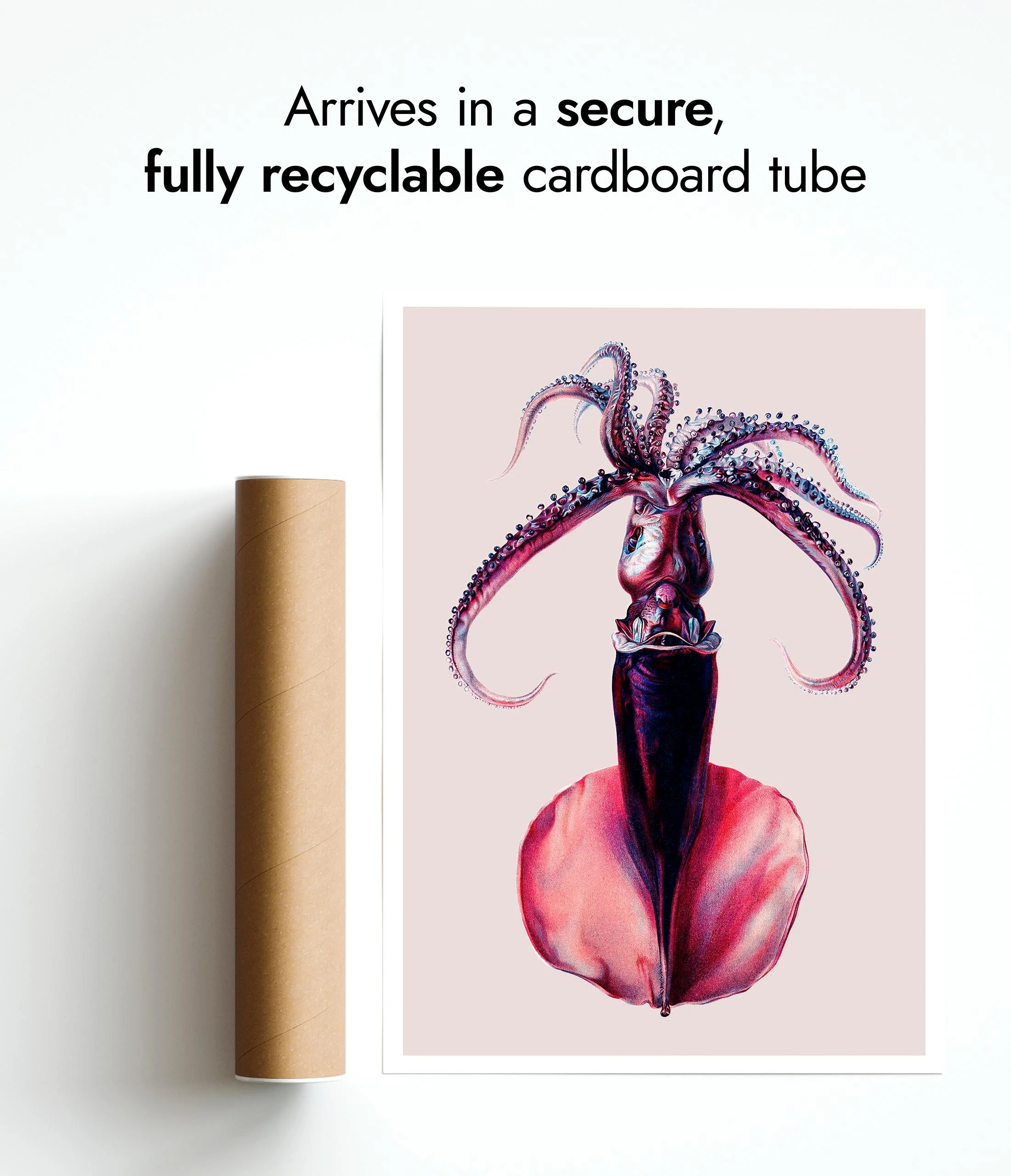 Purple Squid - Image 9