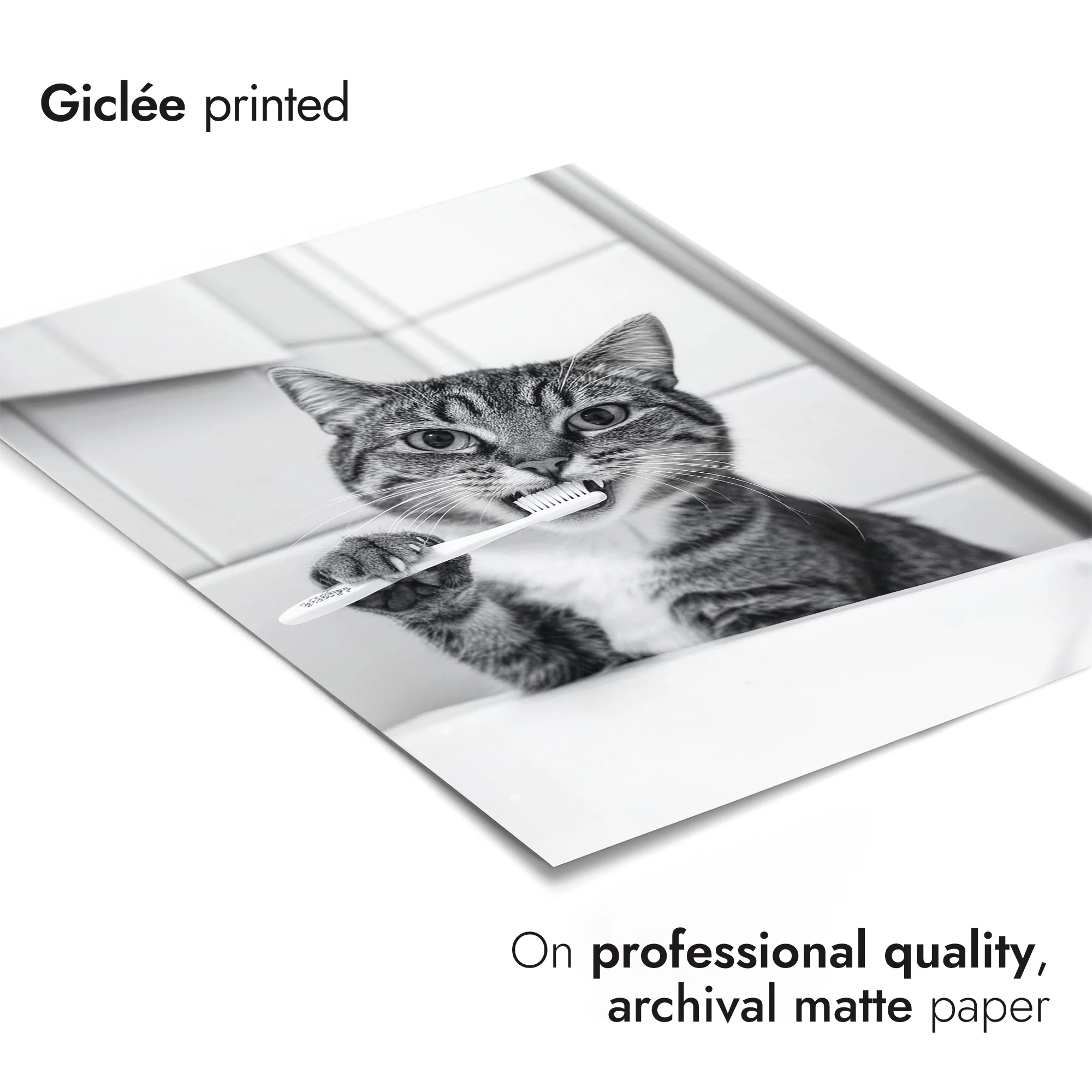 Purrfect Hygiene - Image 6