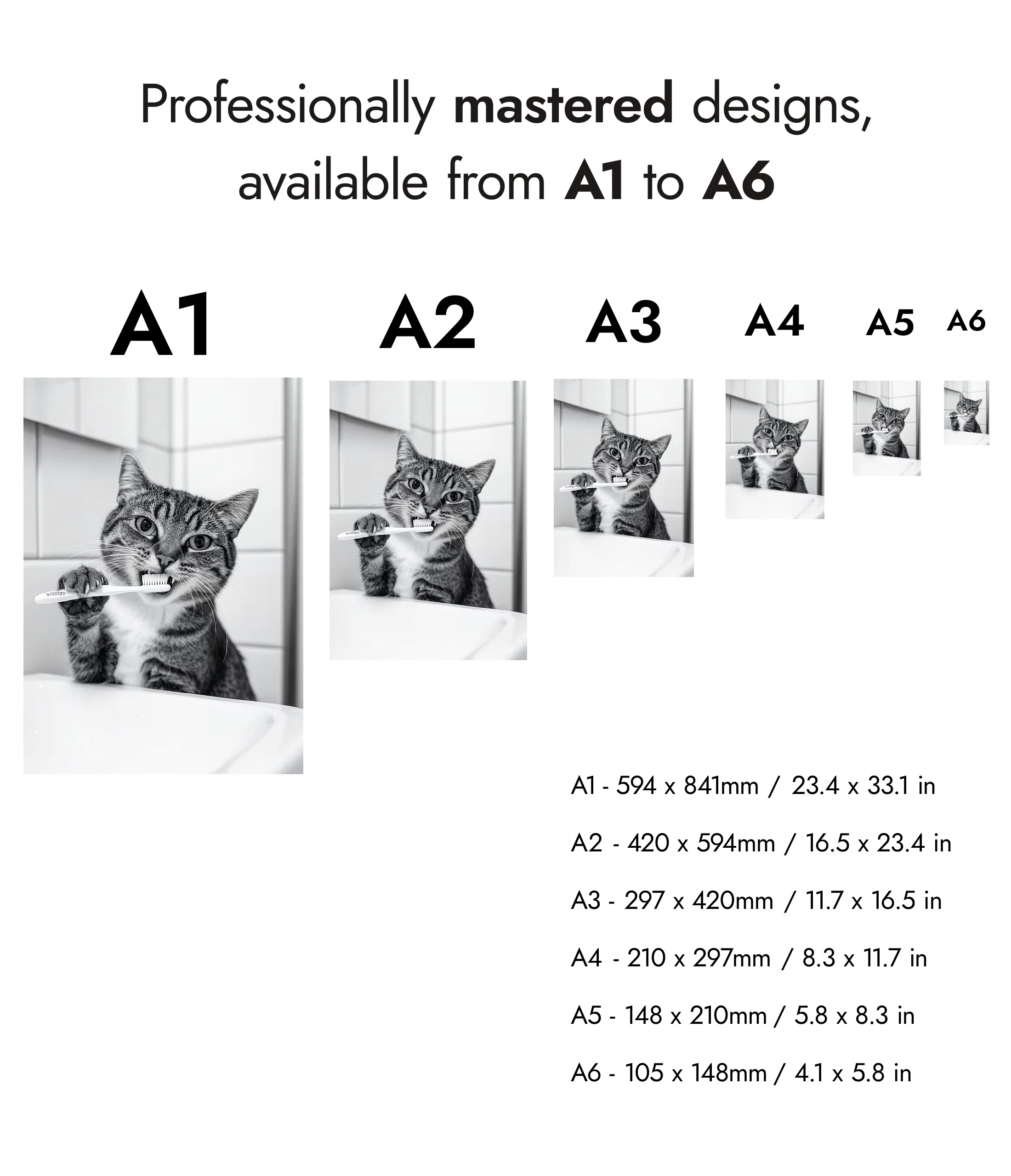 Purrfect Hygiene - Image 8