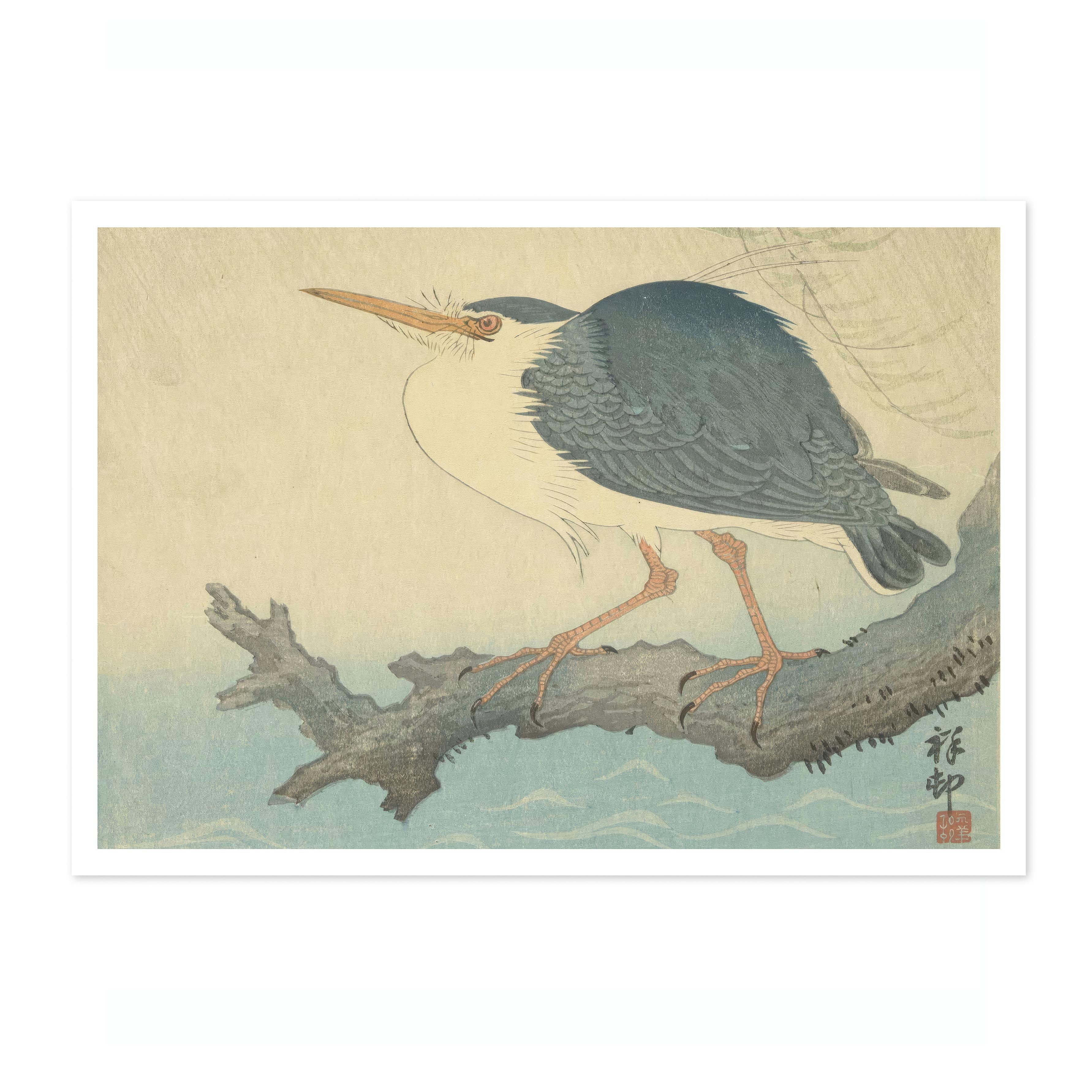 Quack on Tree Stump - Image 4