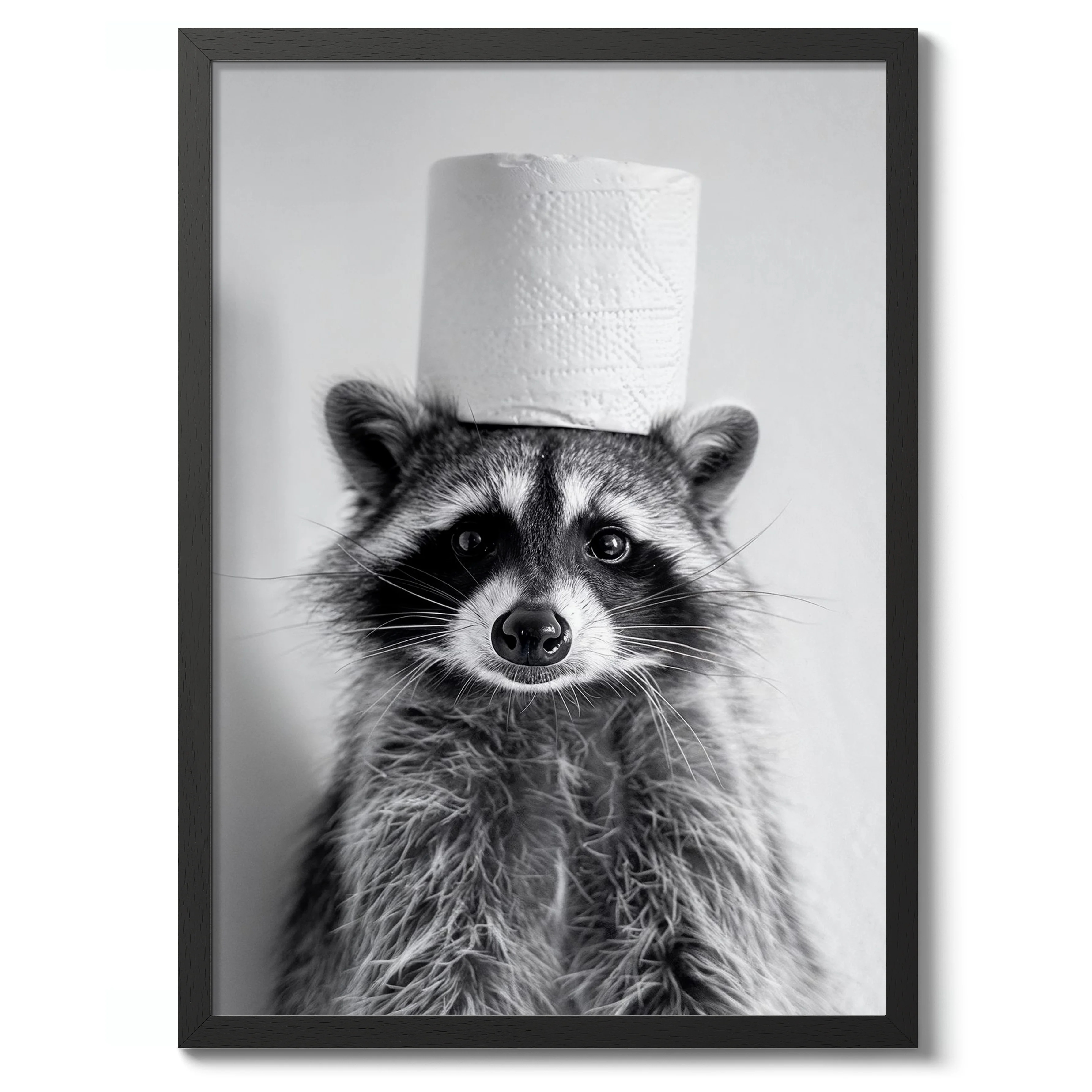 Racoon - Image 2