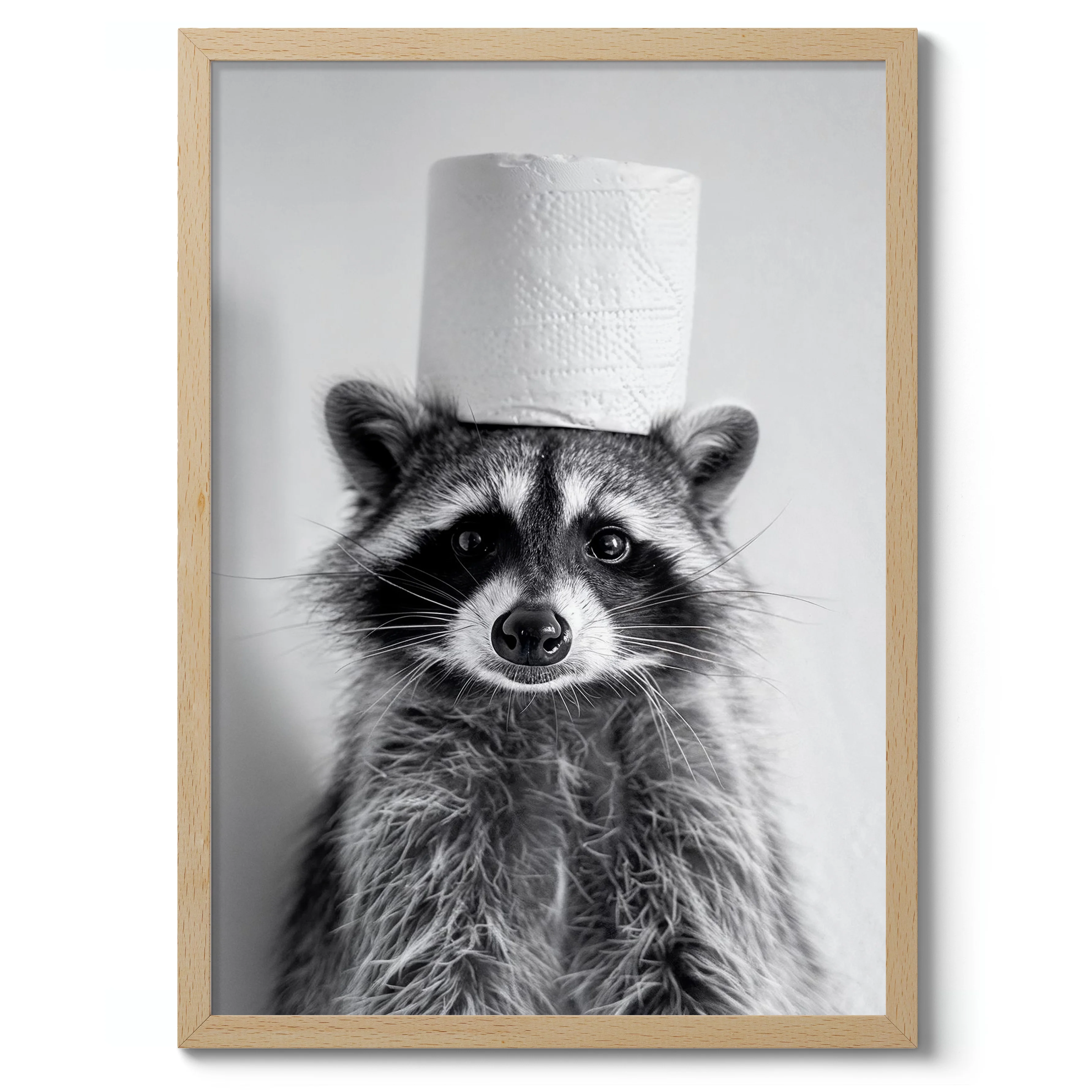 Racoon - Image 3