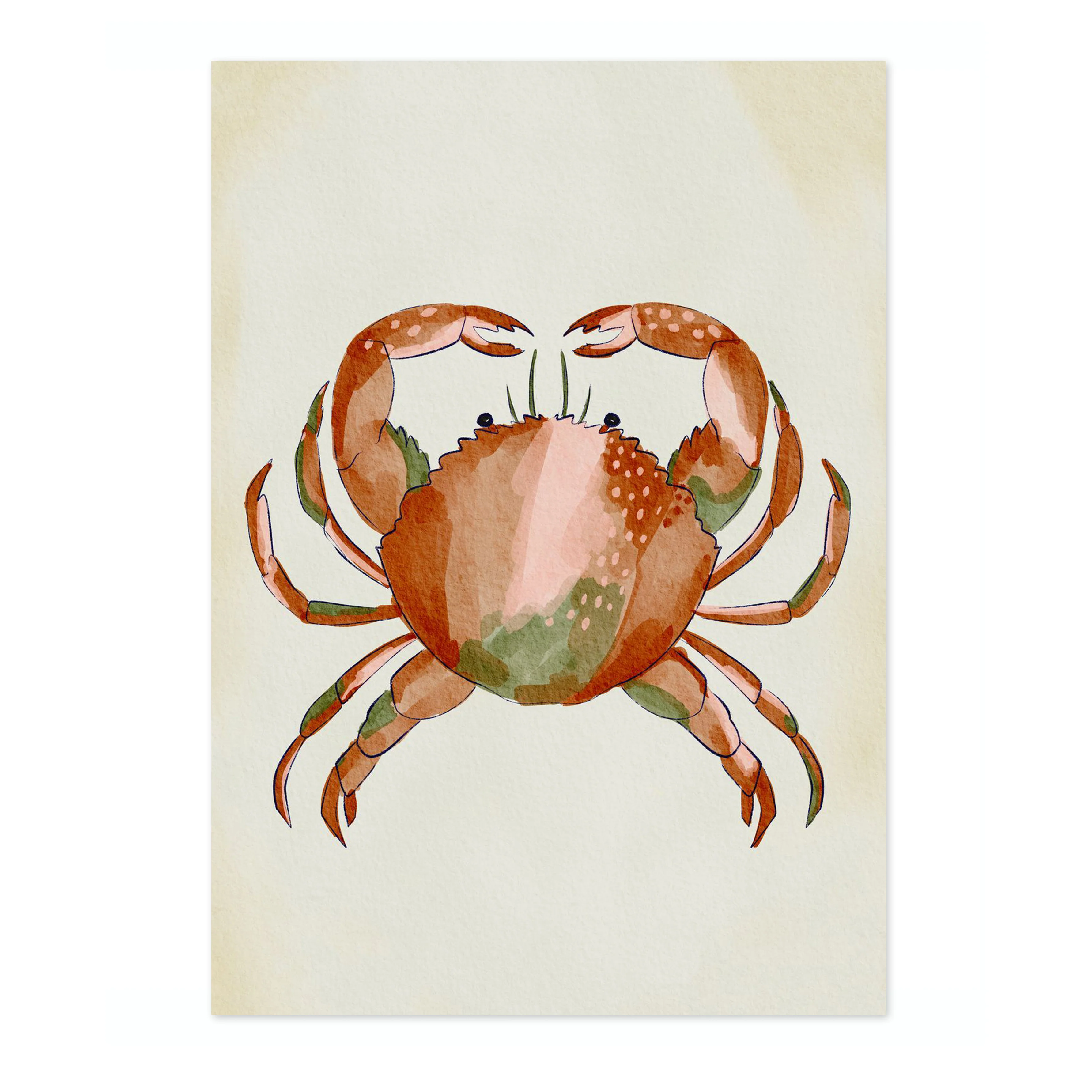 Red Crab - Image 4