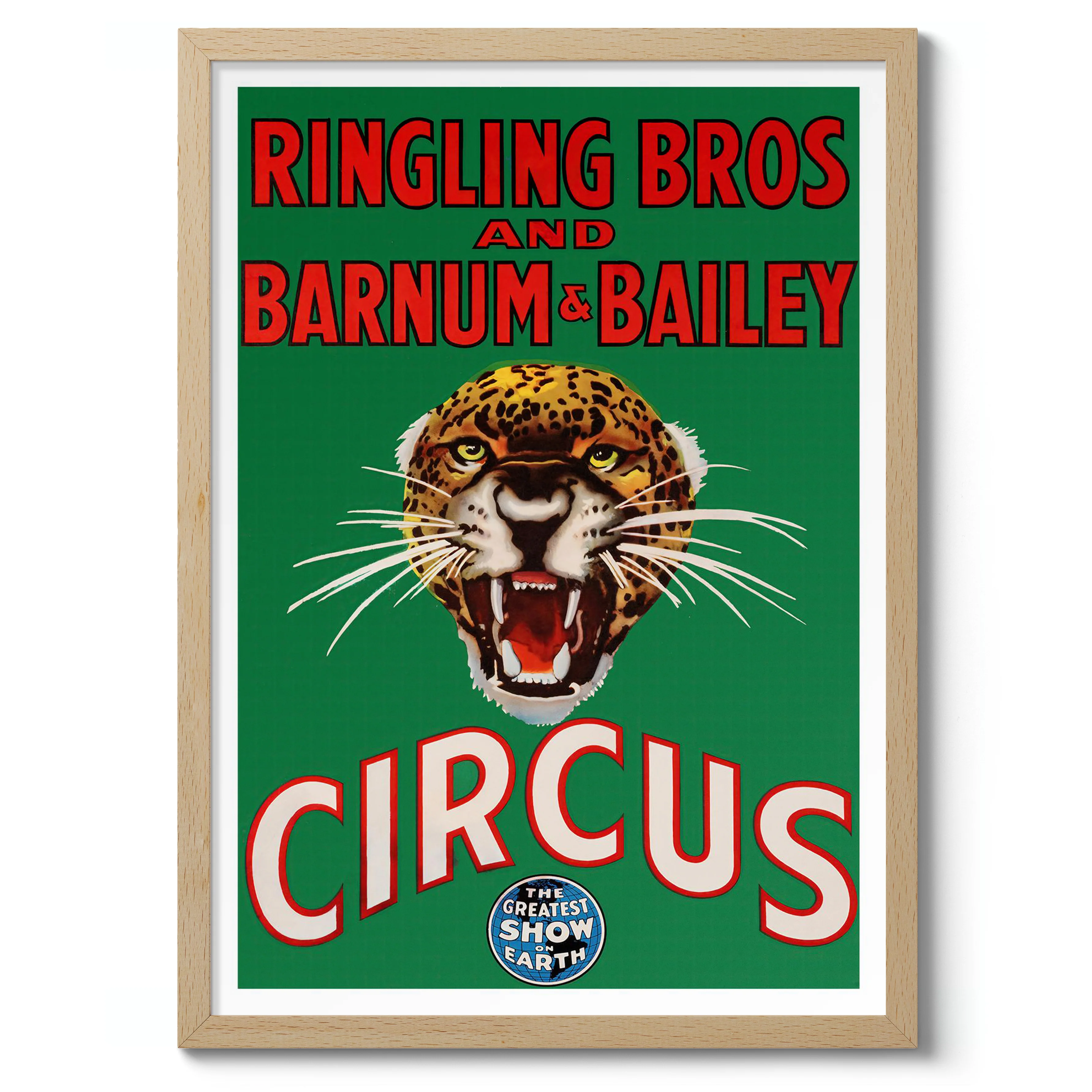 Ringling Circus - Image 3