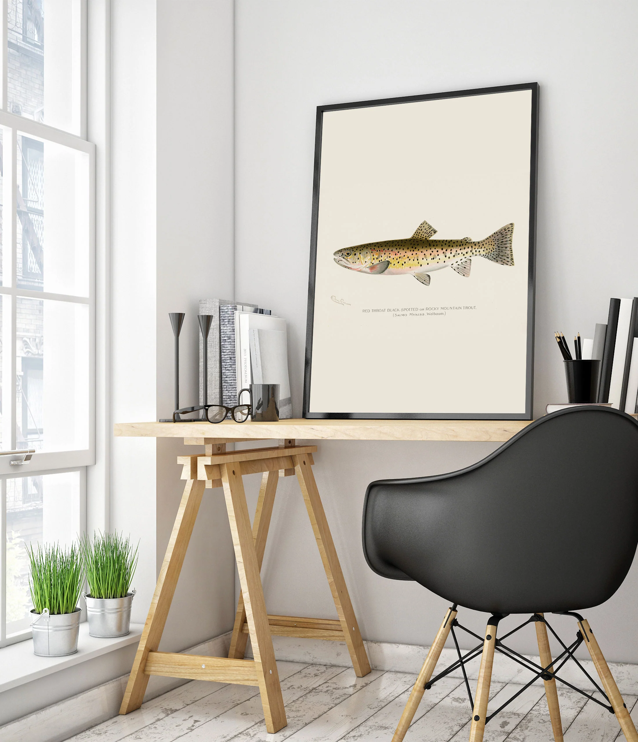 Rocky Mountain Trout - Image 5