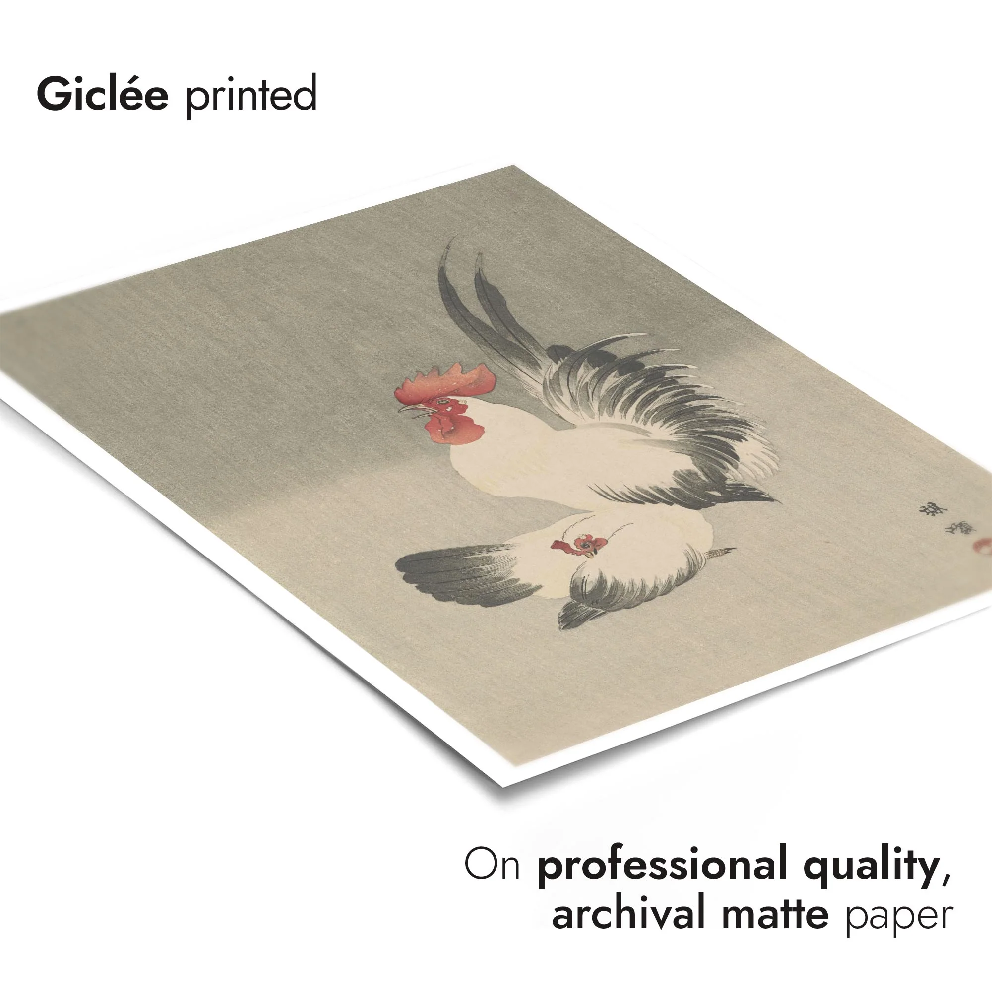 Rooster & Hen - Image 6
