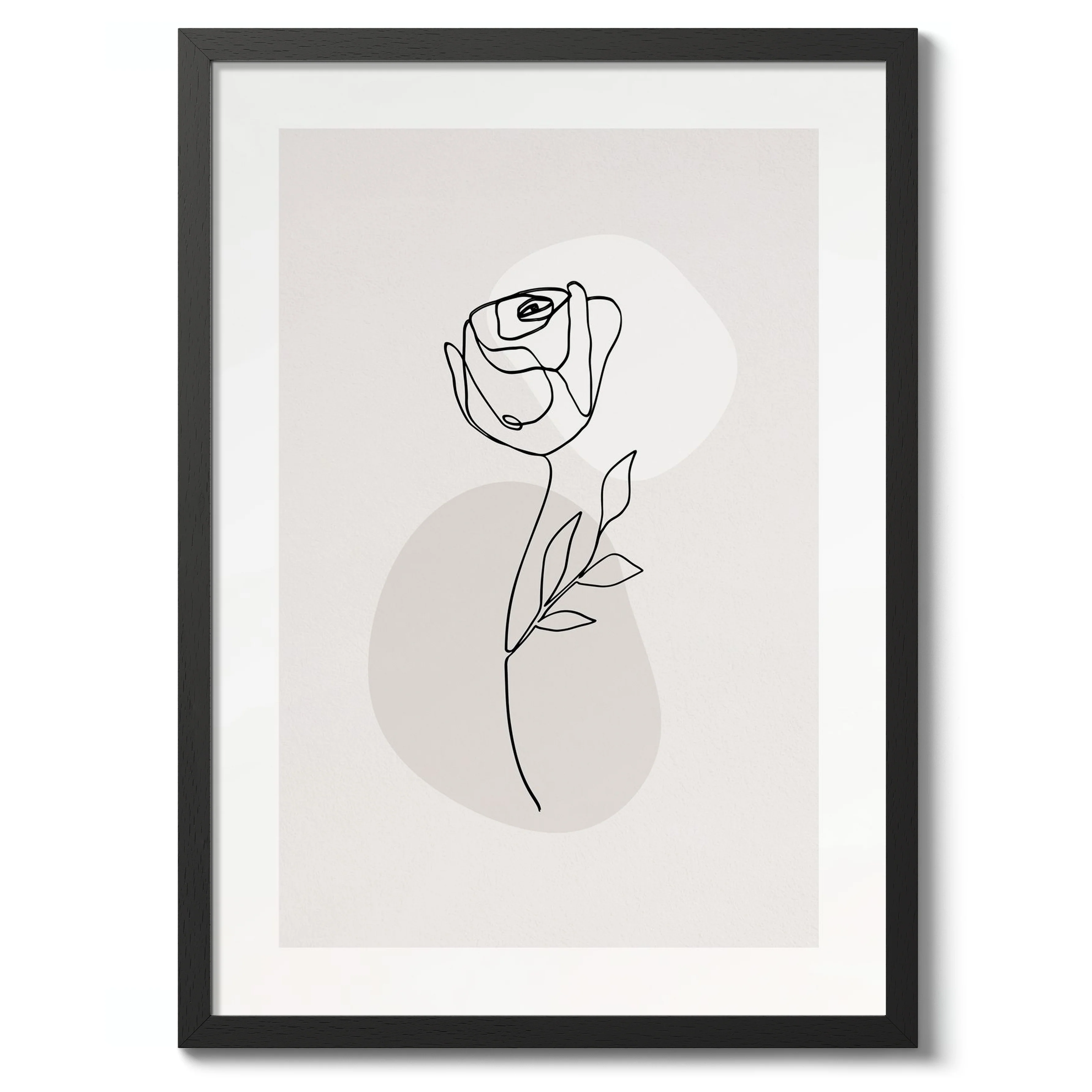 Rose - Image 2