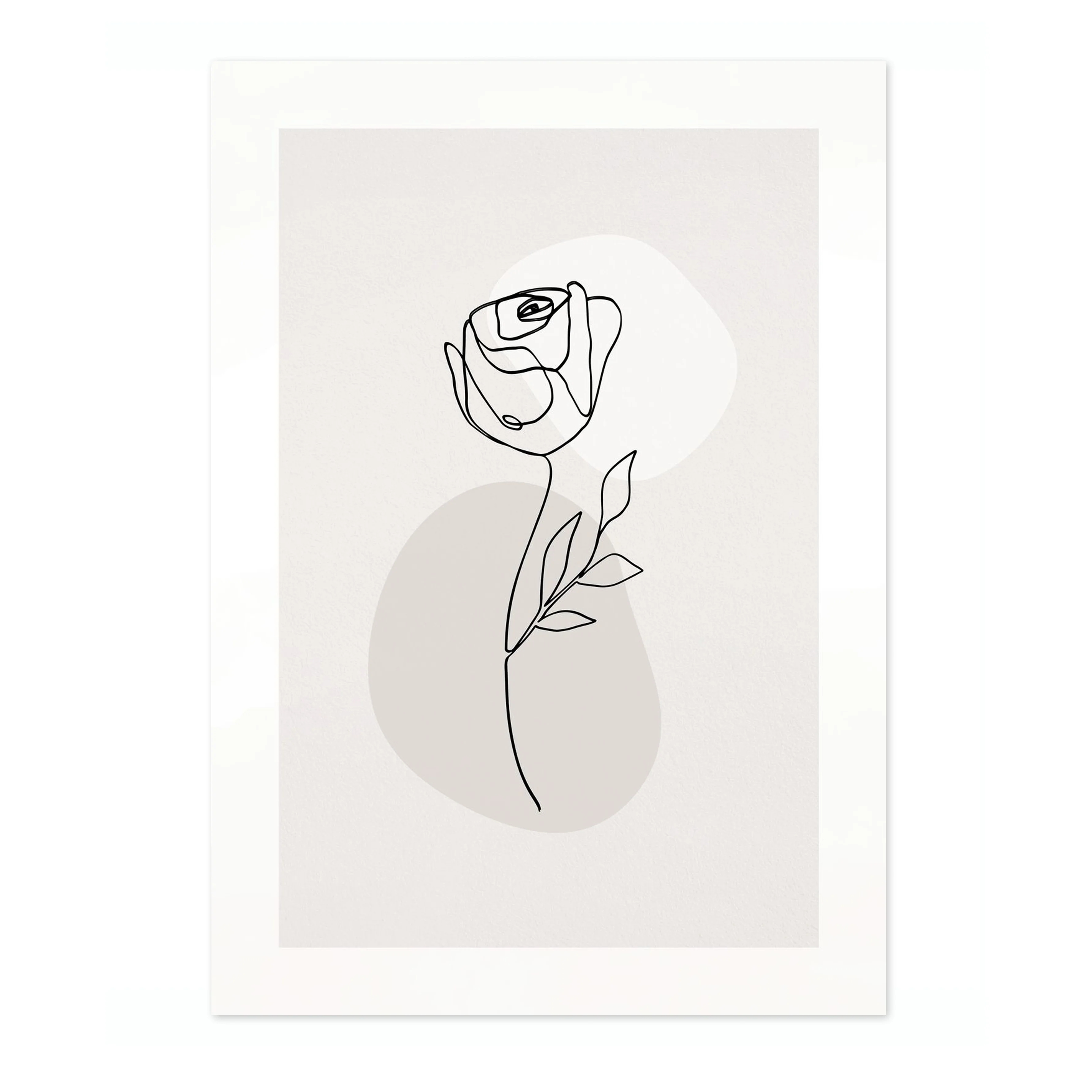 Rose - Image 4