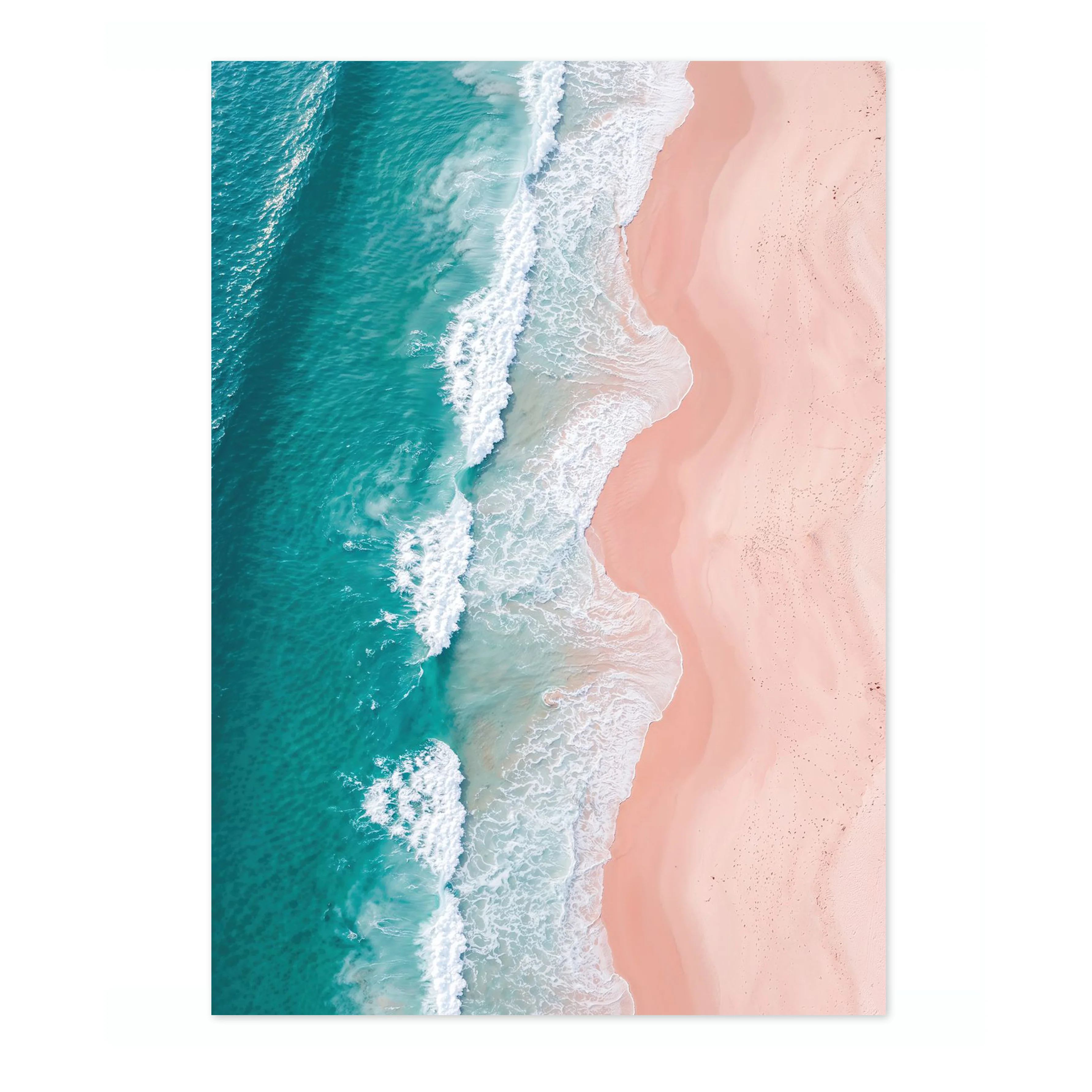 Rose & Tide - Image 4