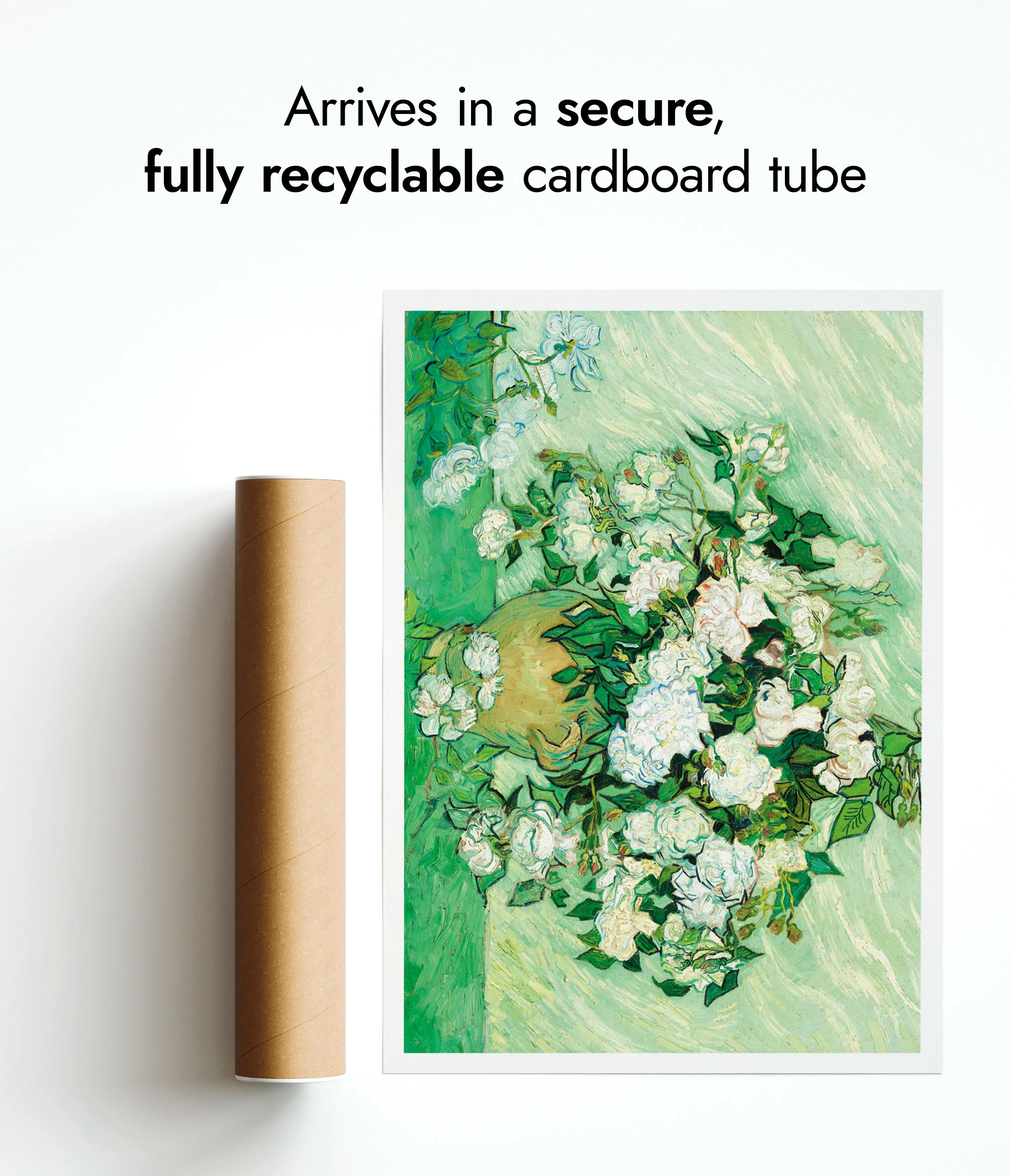 Roses - Image 9