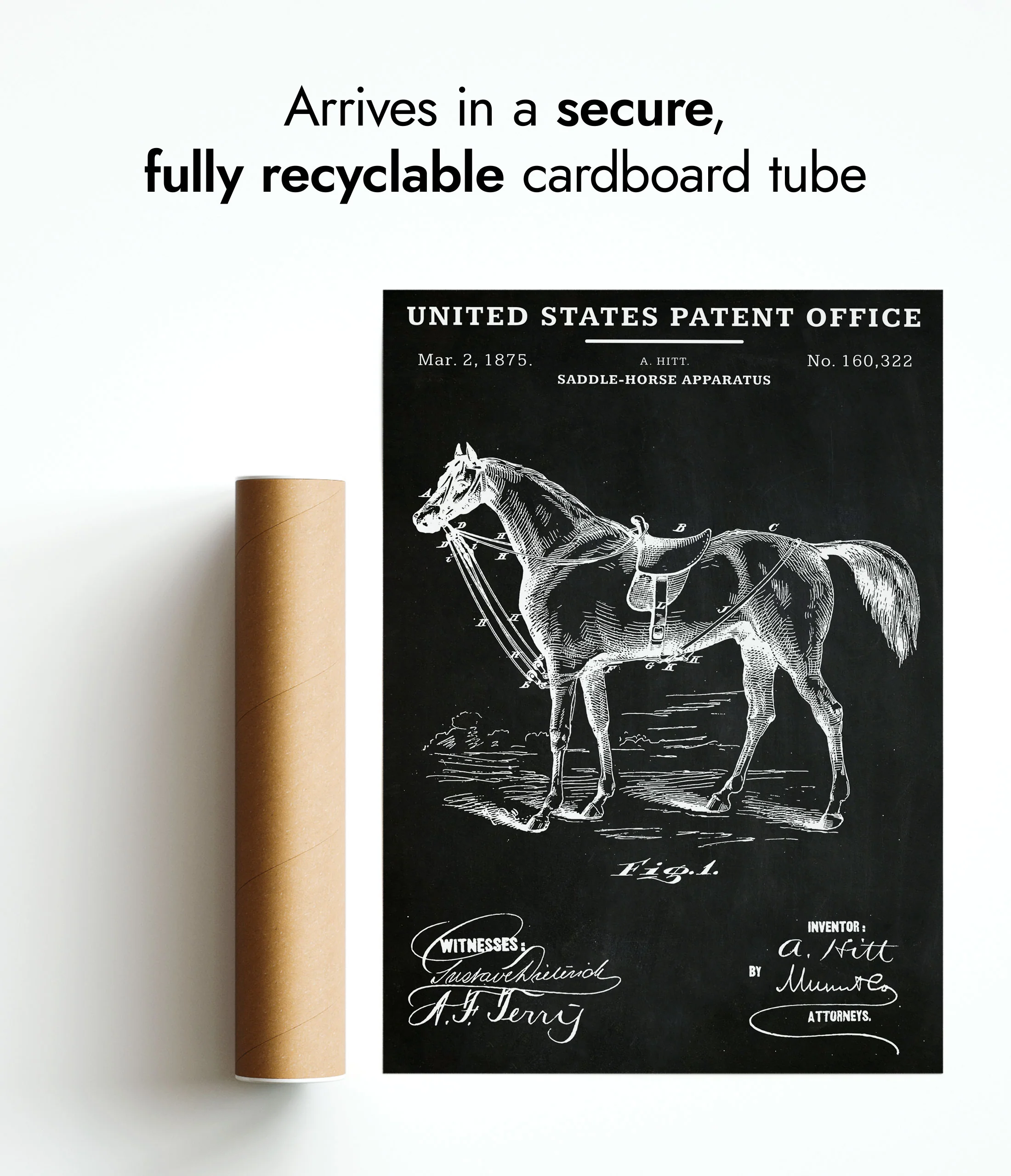 Saddle Apparatus - Image 9