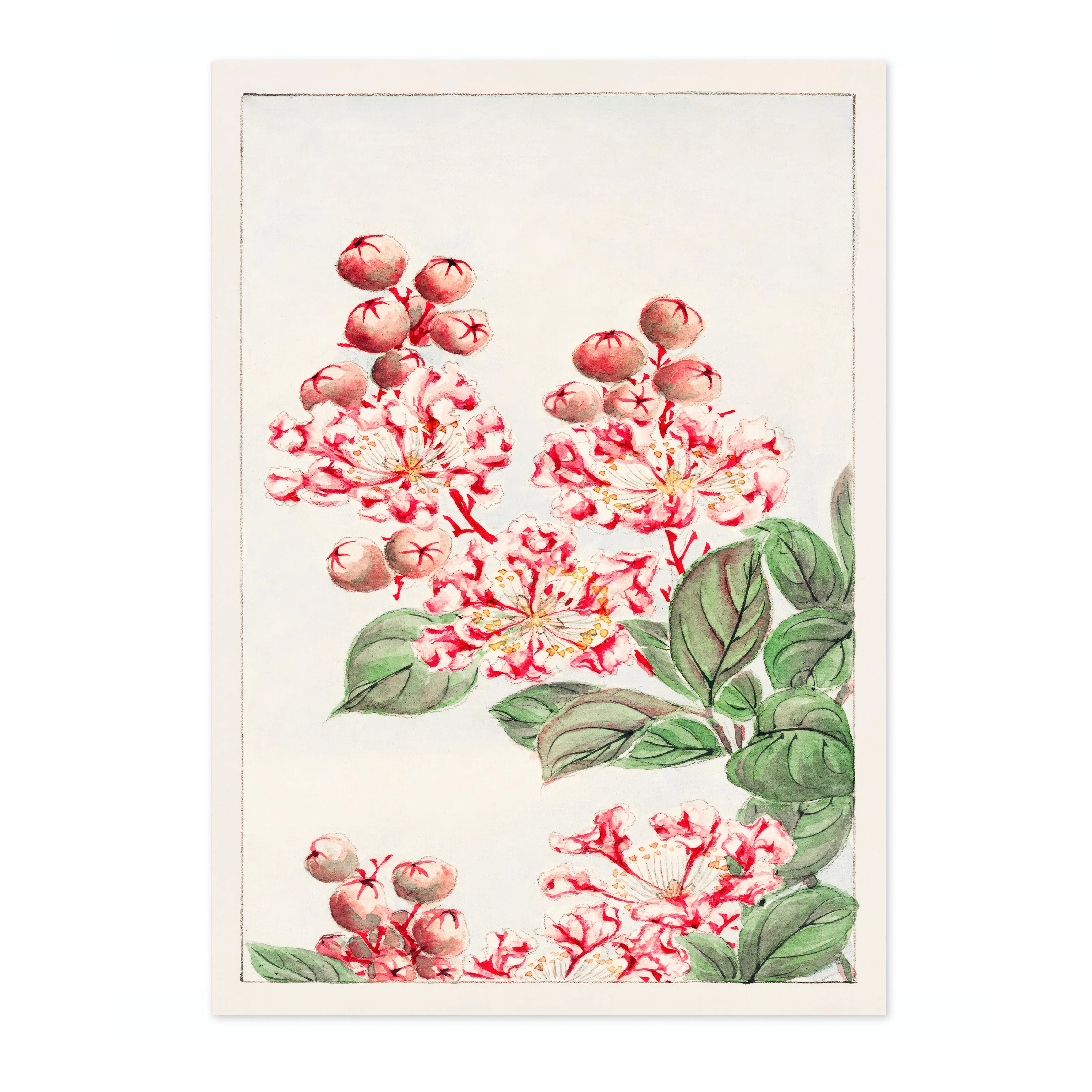 Sarusubi Blossoms - Image 4