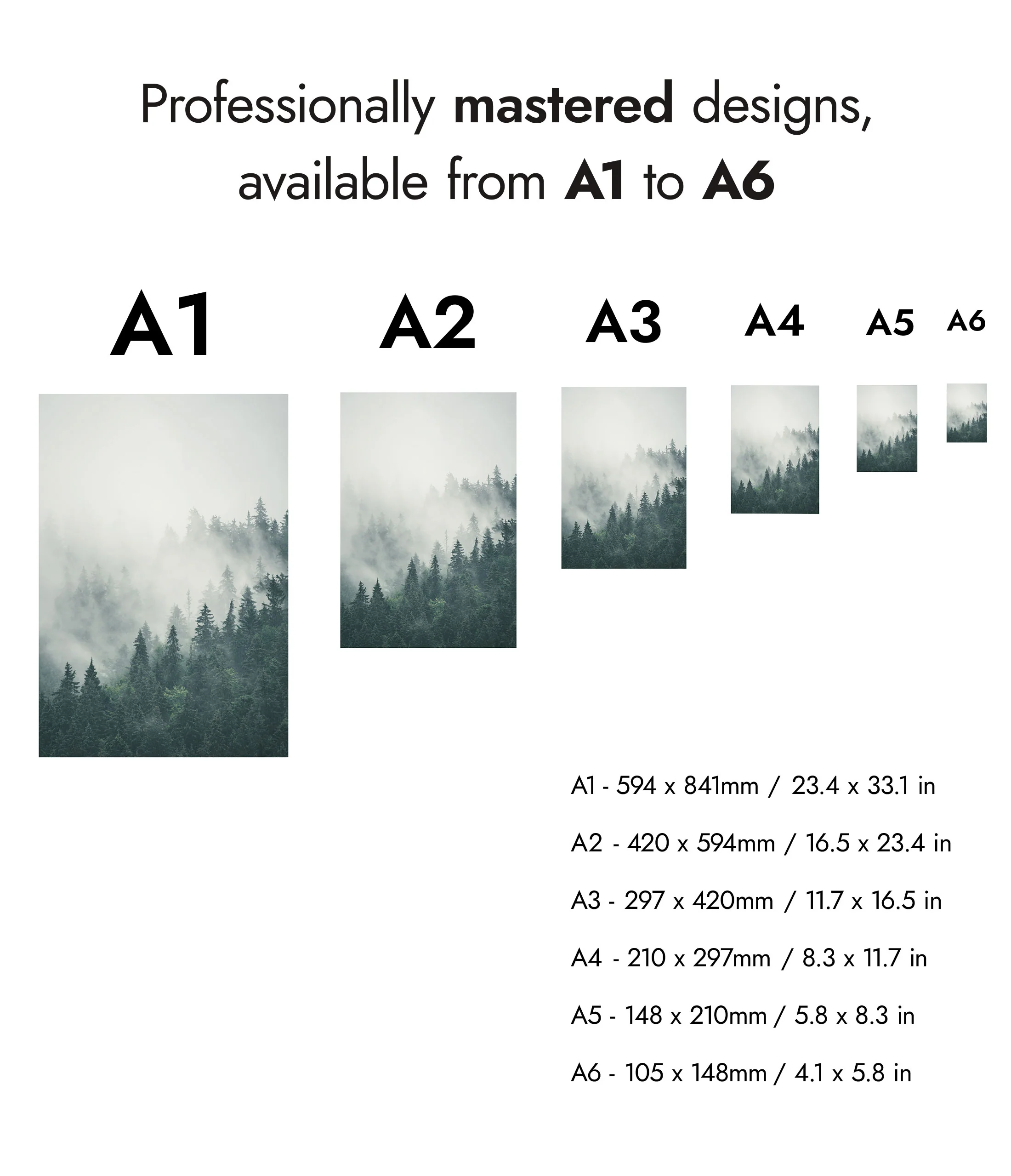 Scotch Mist - Image 8