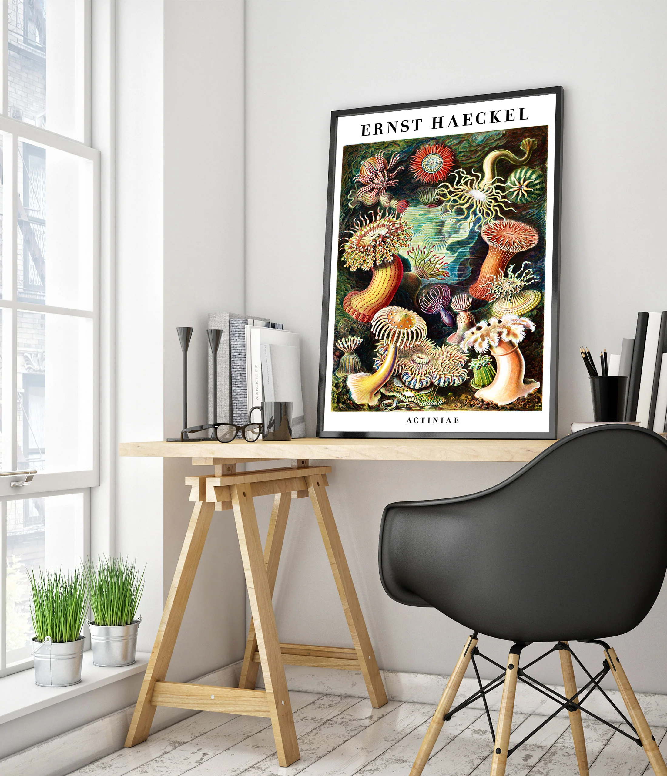 Sea Anemones - Image 5