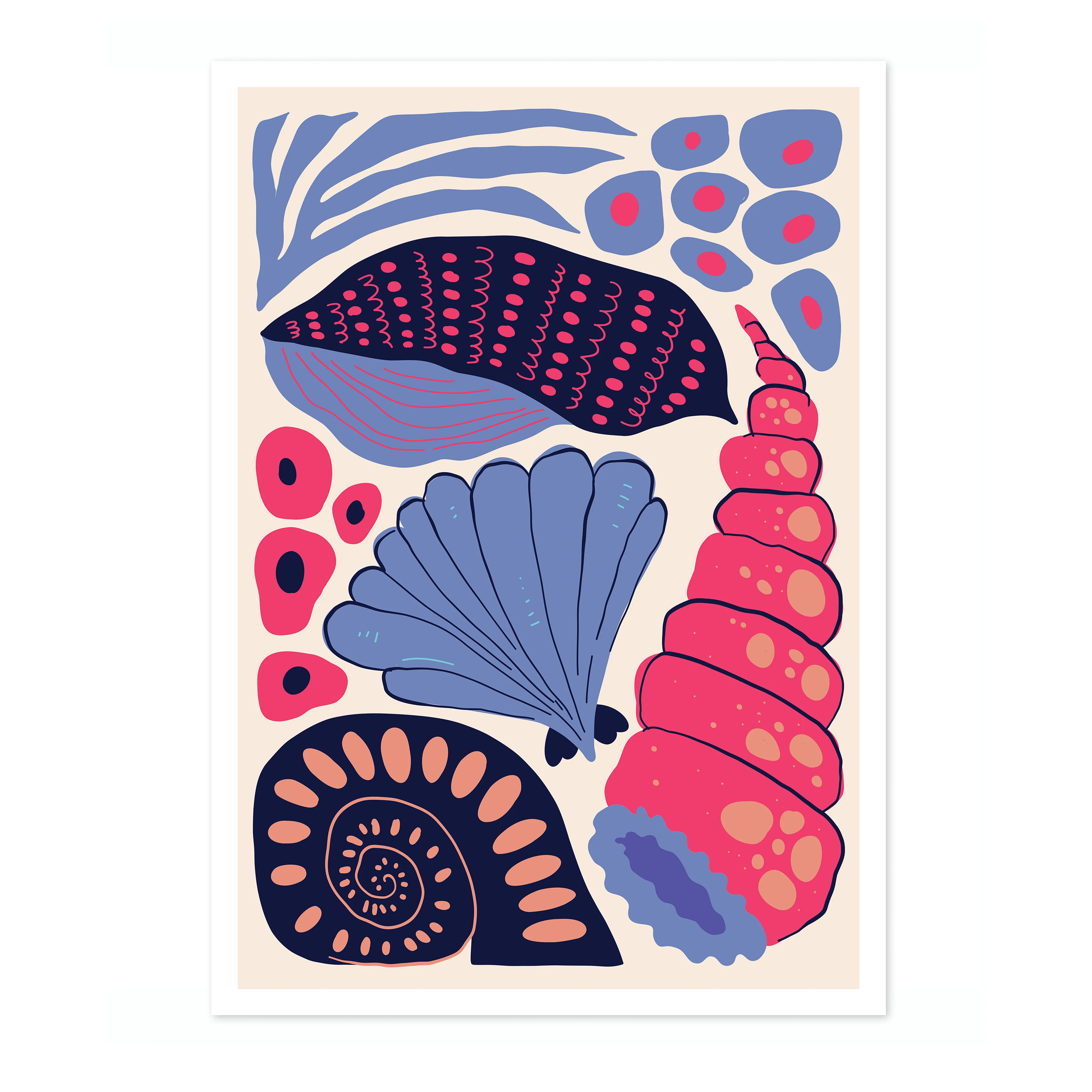 Sea Shells - Image 4