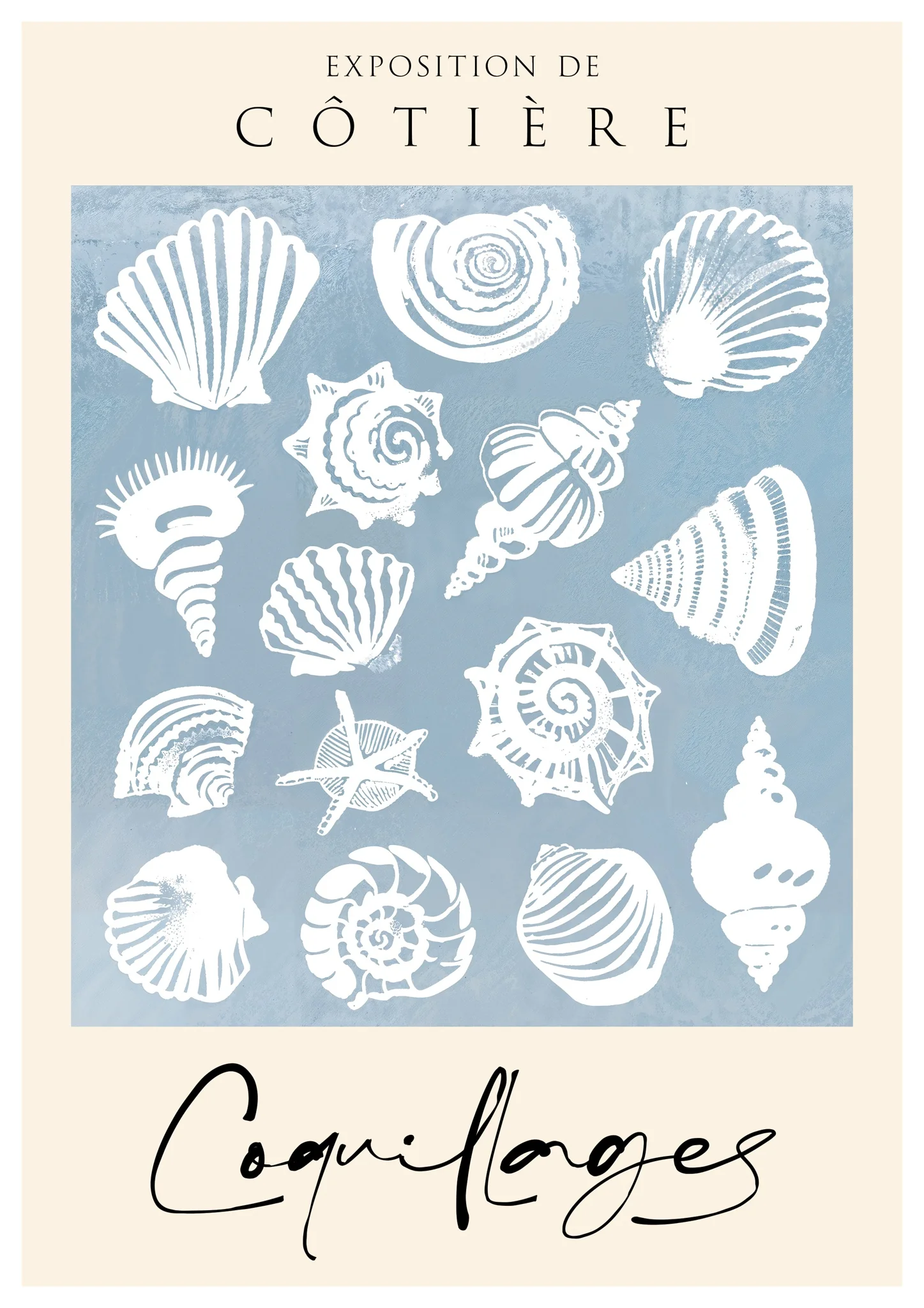 Sea Shells