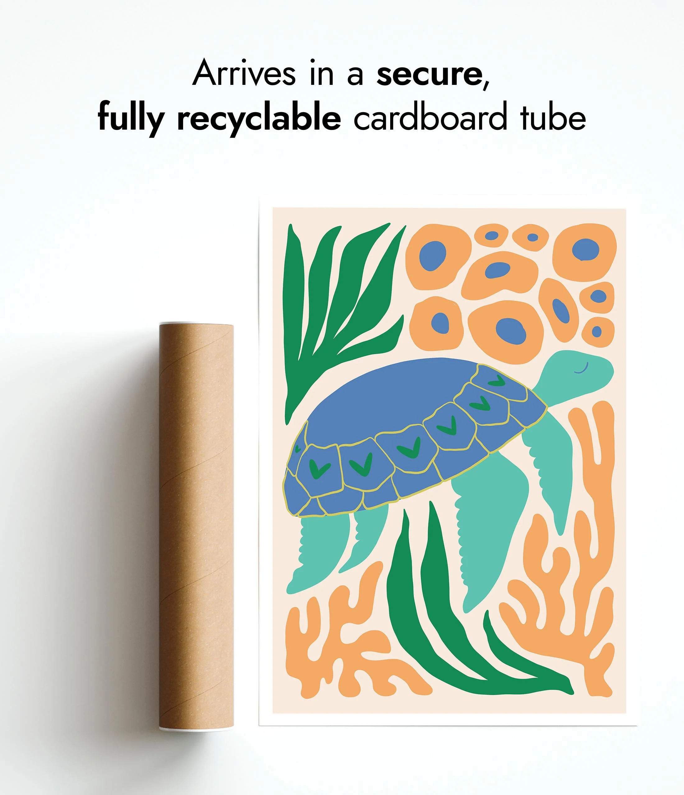 Sea Turtle - Image 9