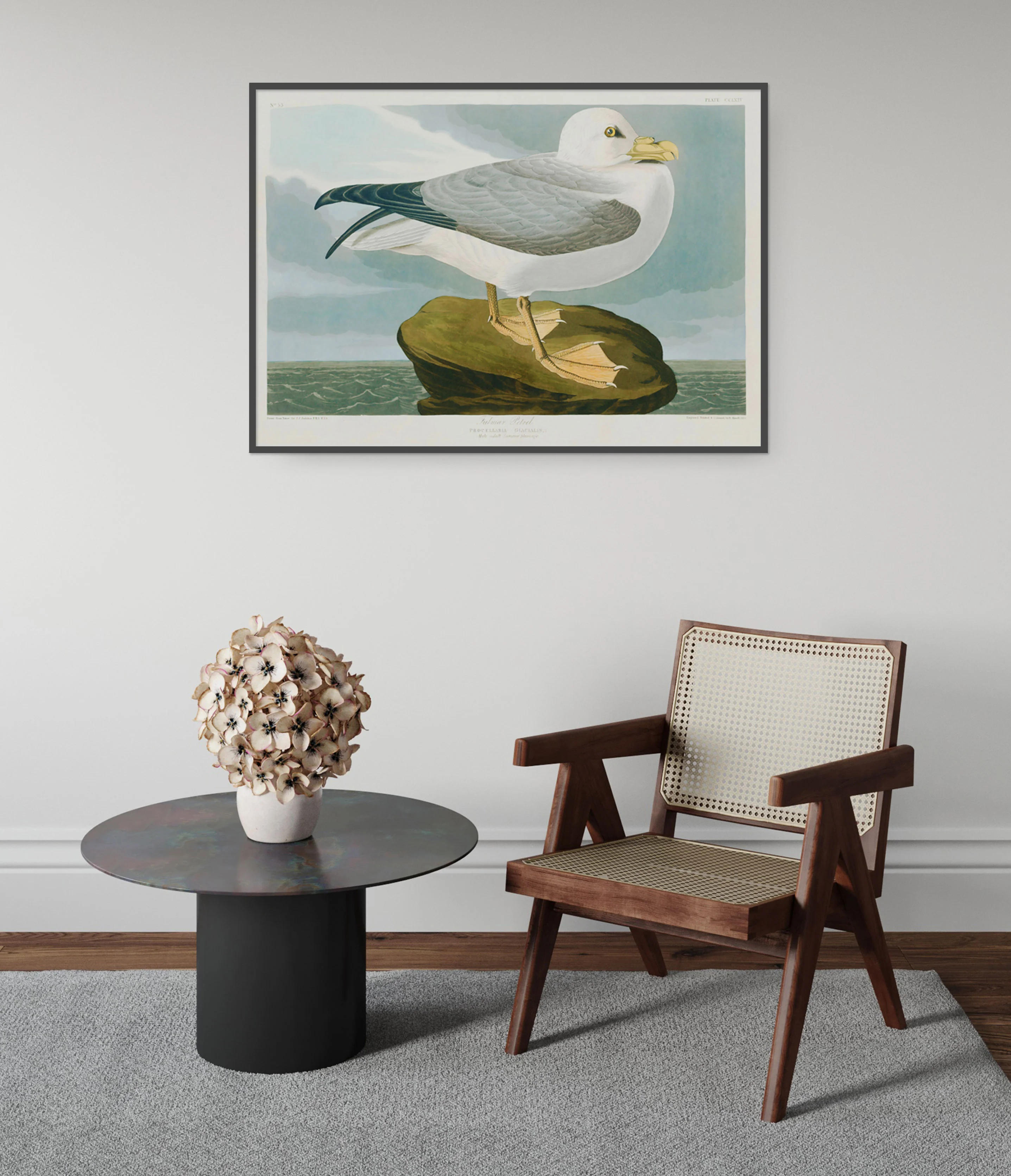 Seagull - Image 5