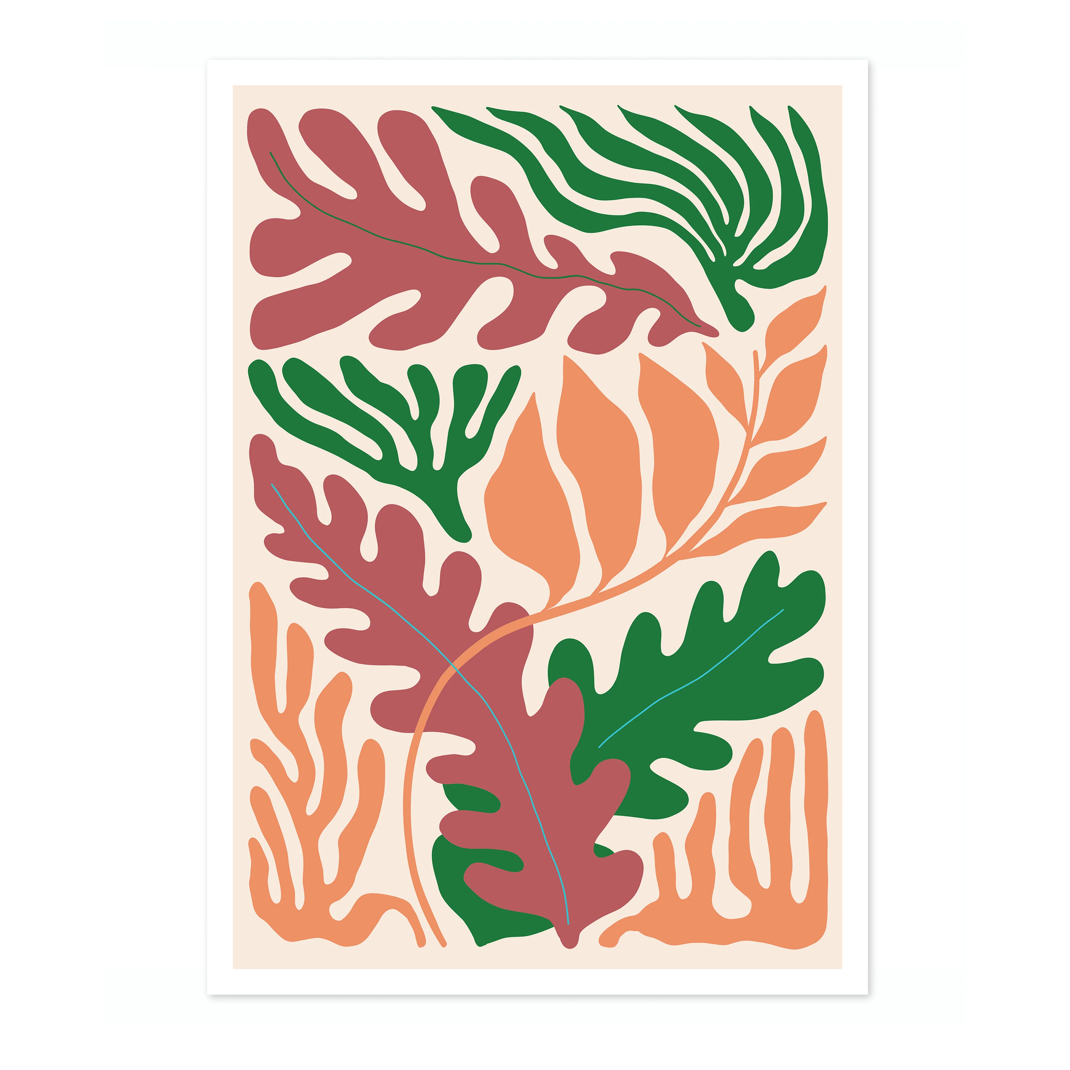 Seaweed - Image 4