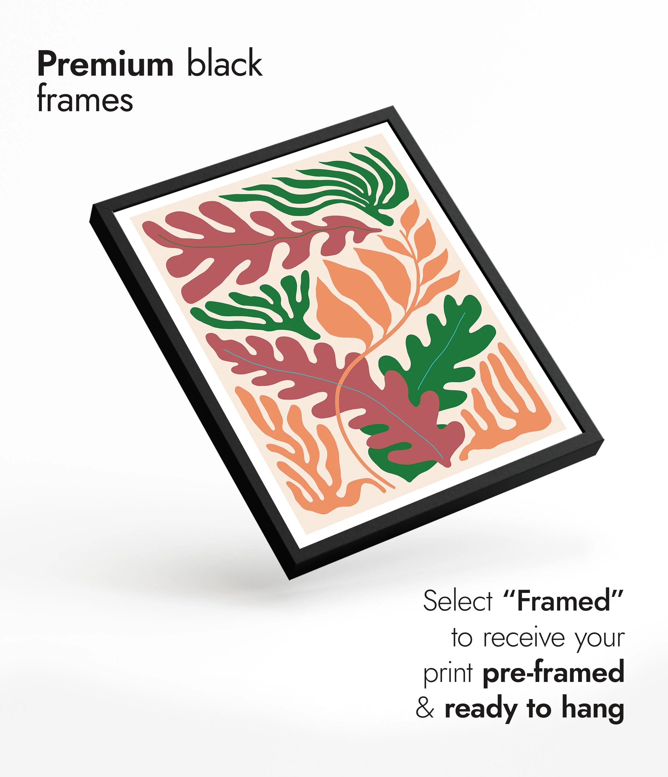 Seaweed - Image 7