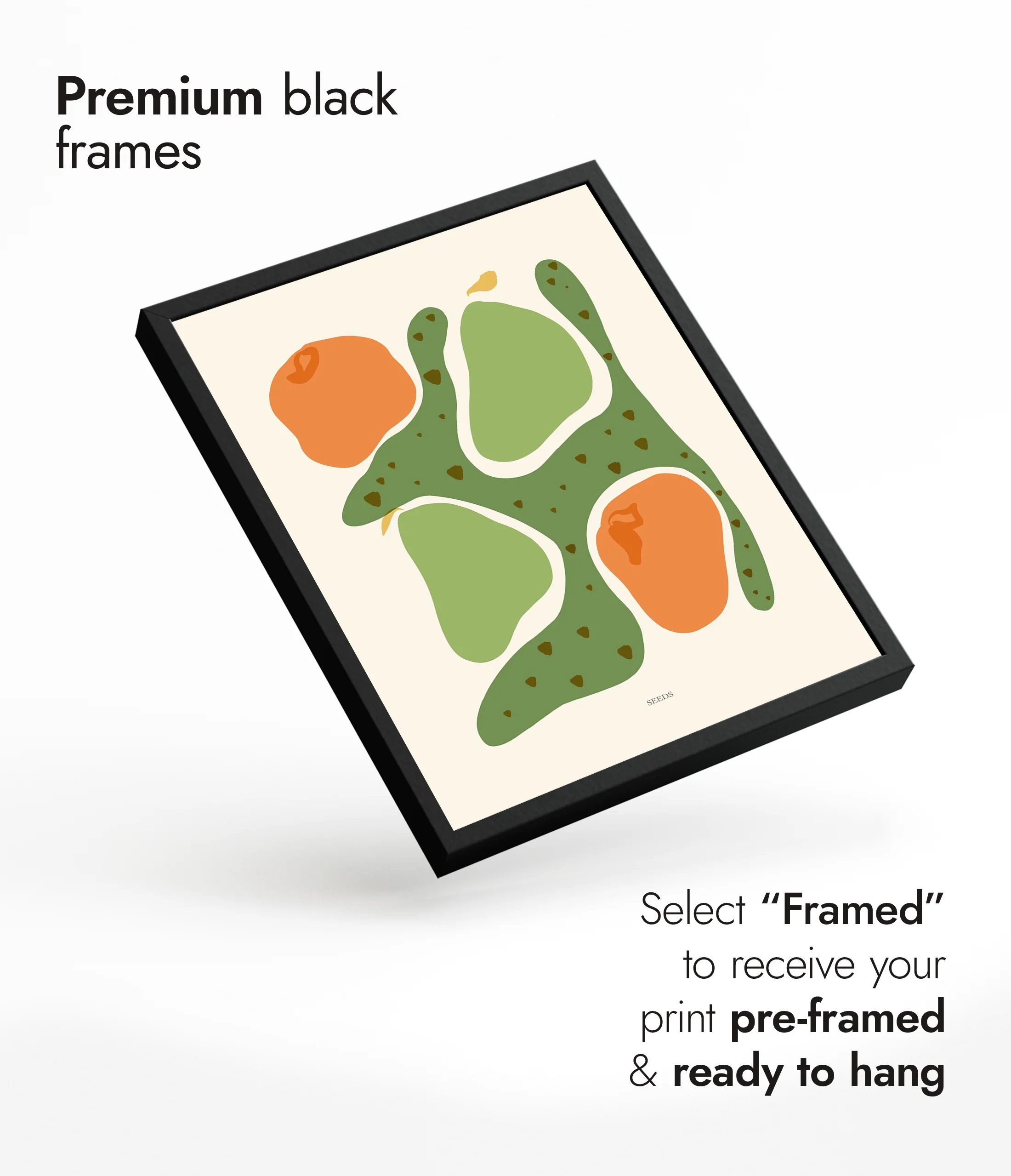 Seeds - Image 7