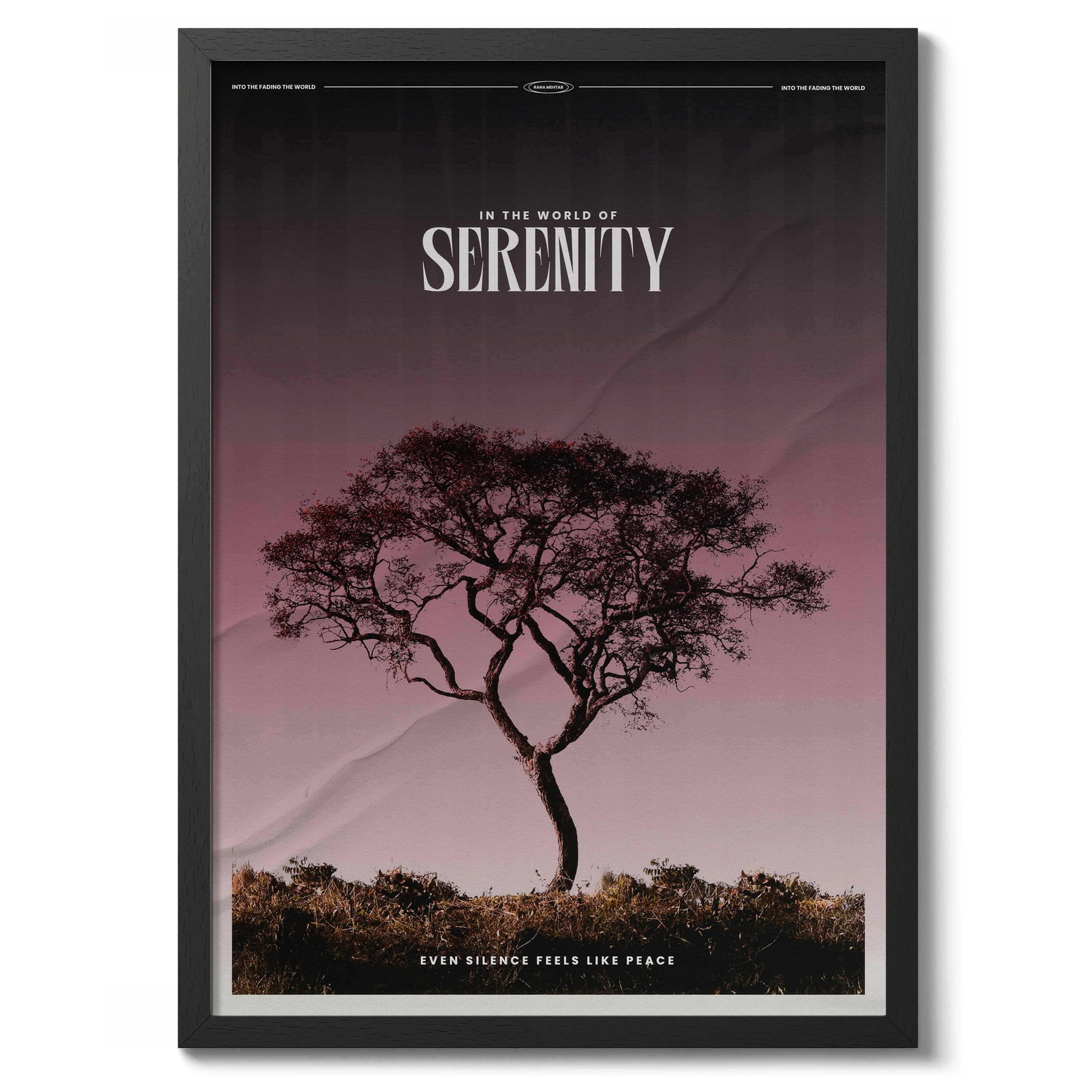Serenity - Image 2