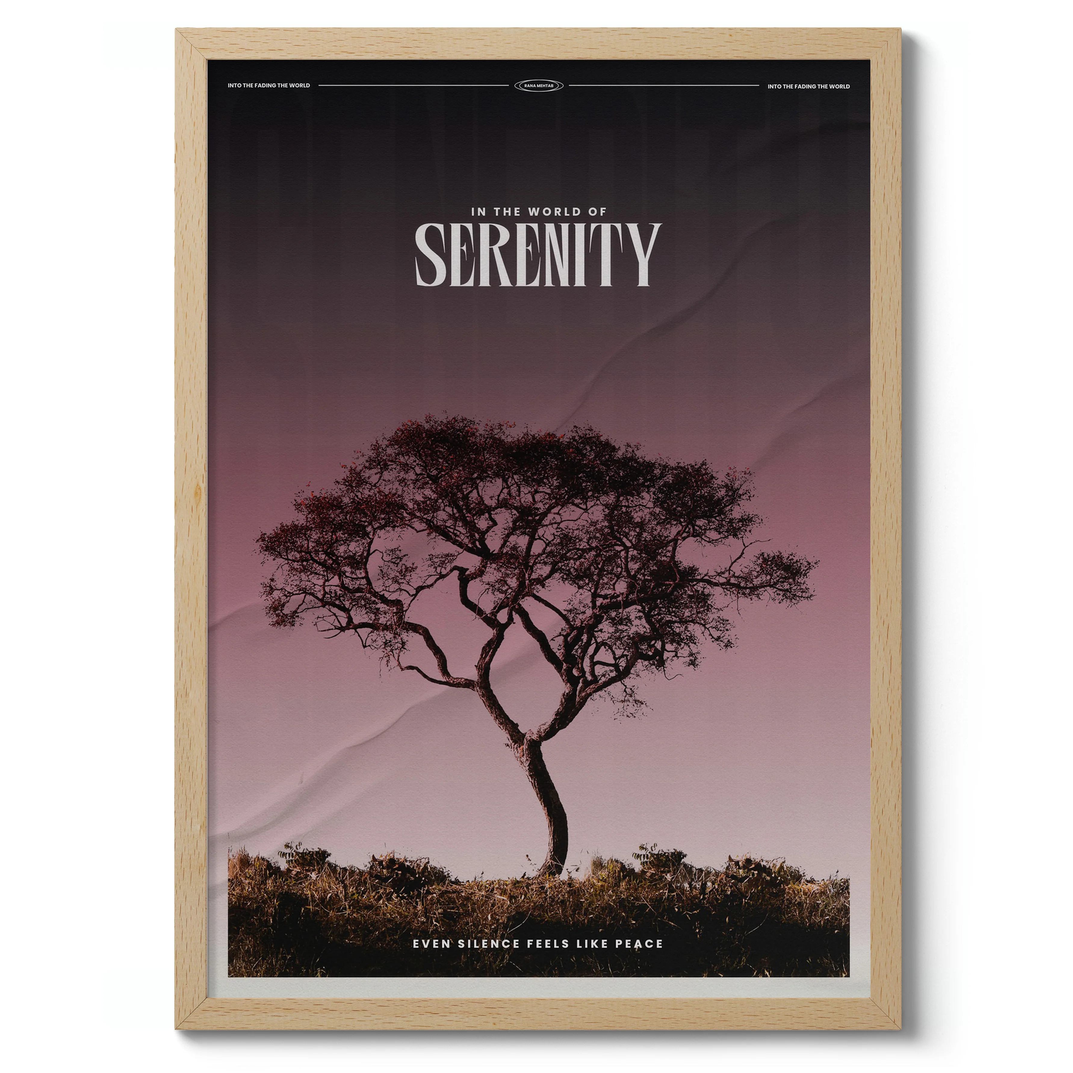 Serenity - Image 3