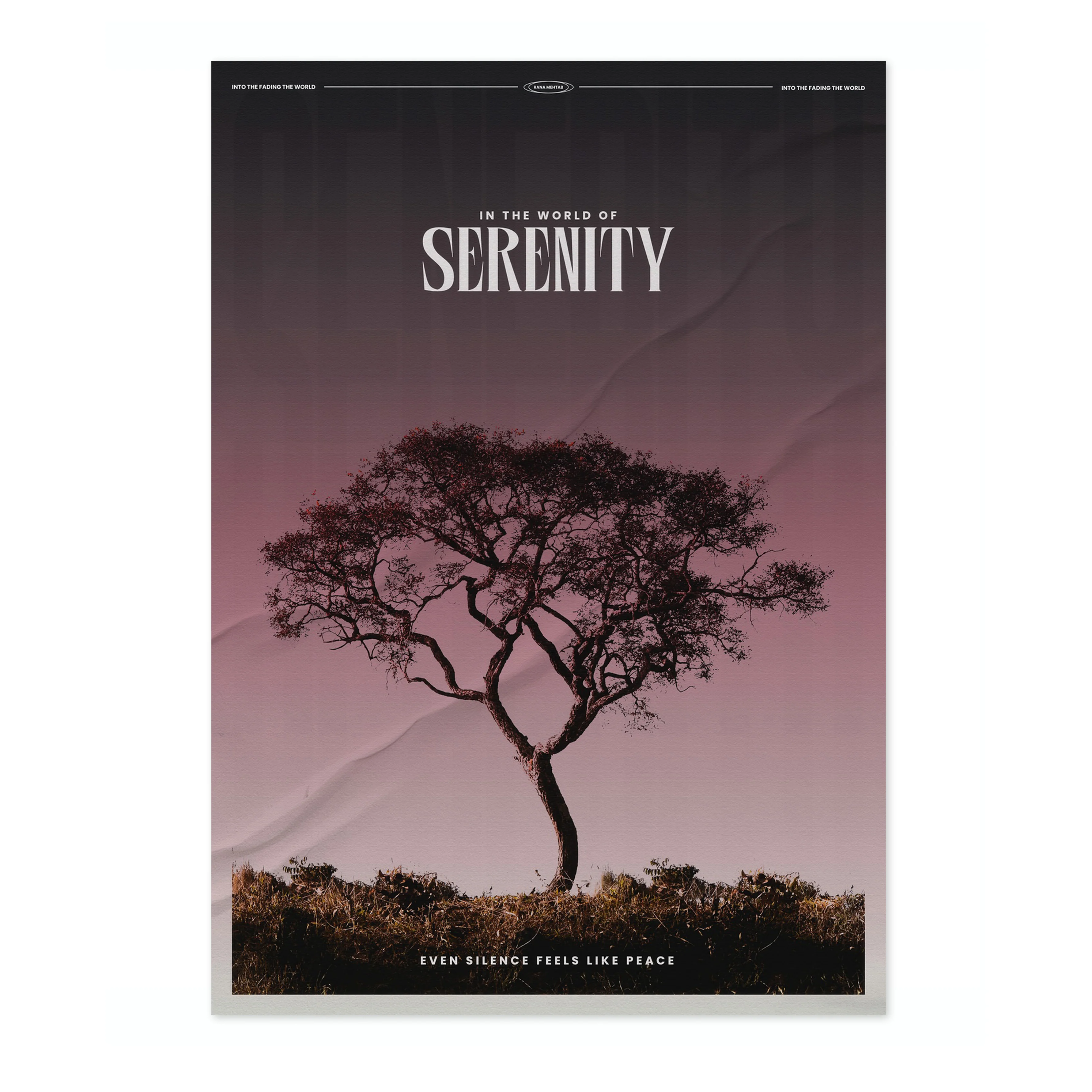 Serenity - Image 4