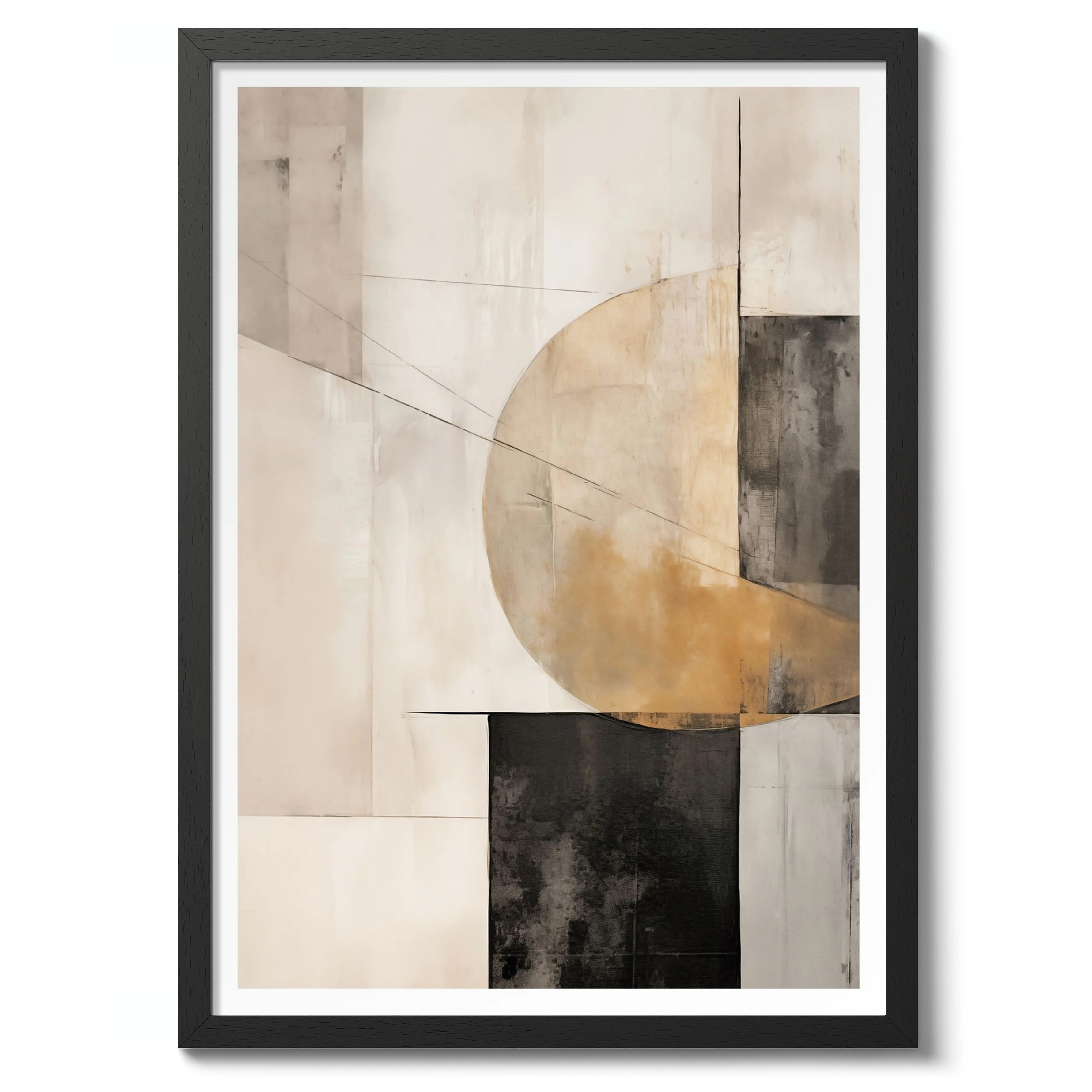 Shapes Dissected - Image 2