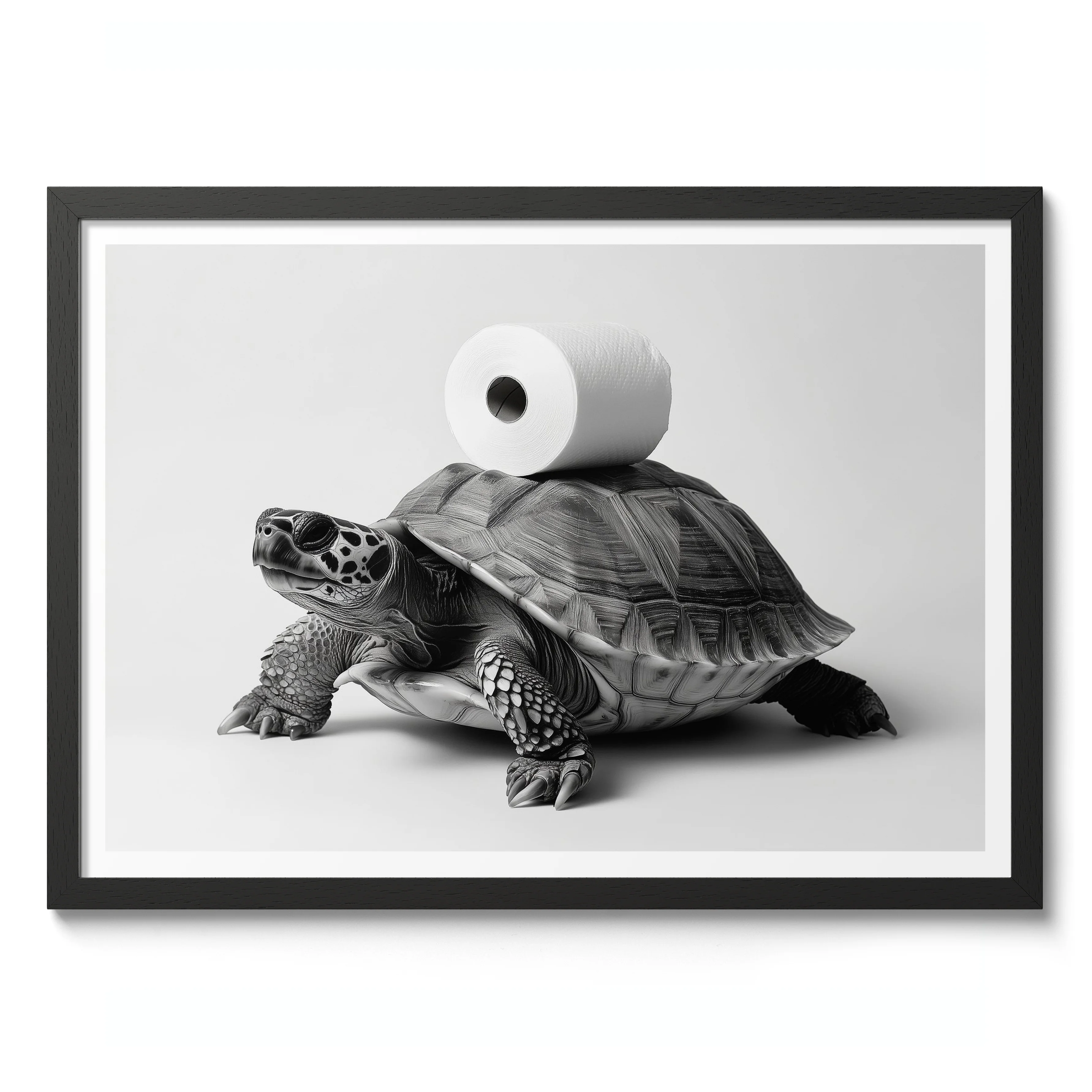 Shell We Roll - Image 2