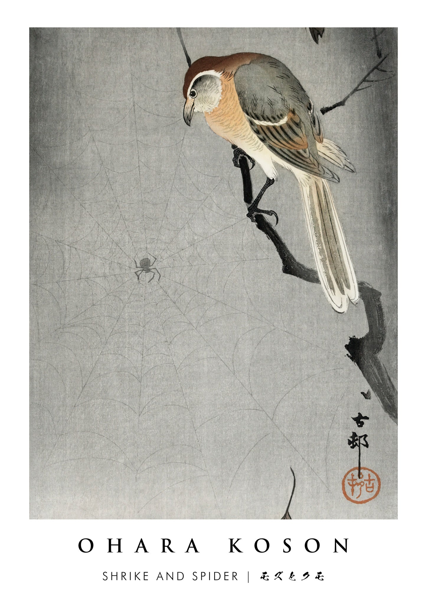Shrike and Spider