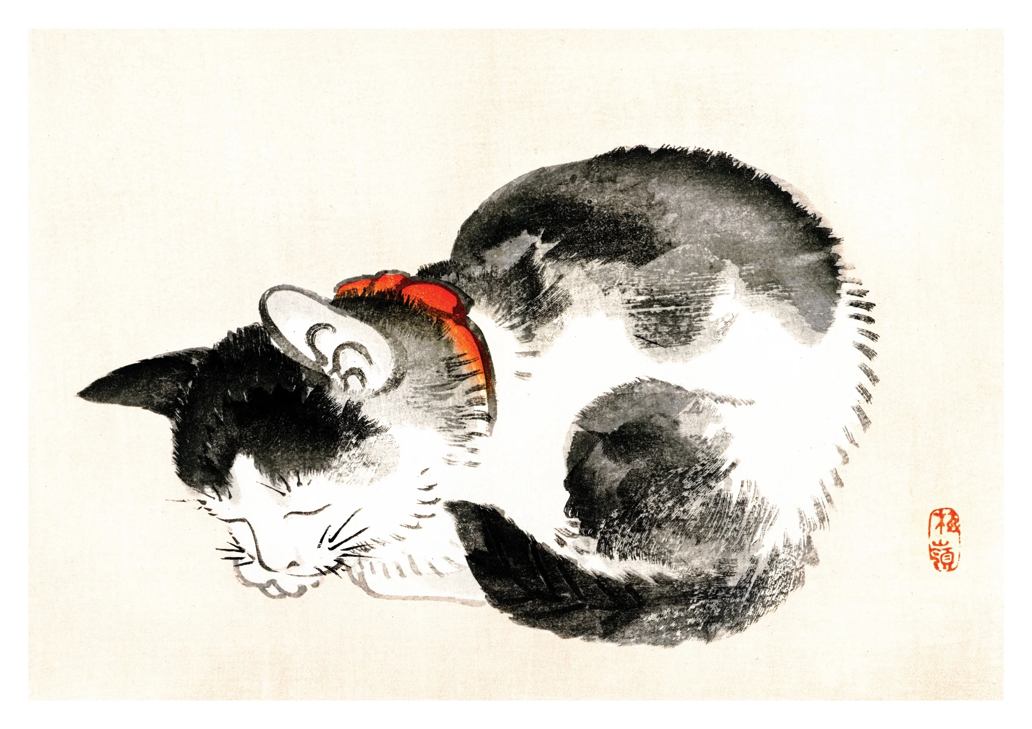 Sleeping Cat