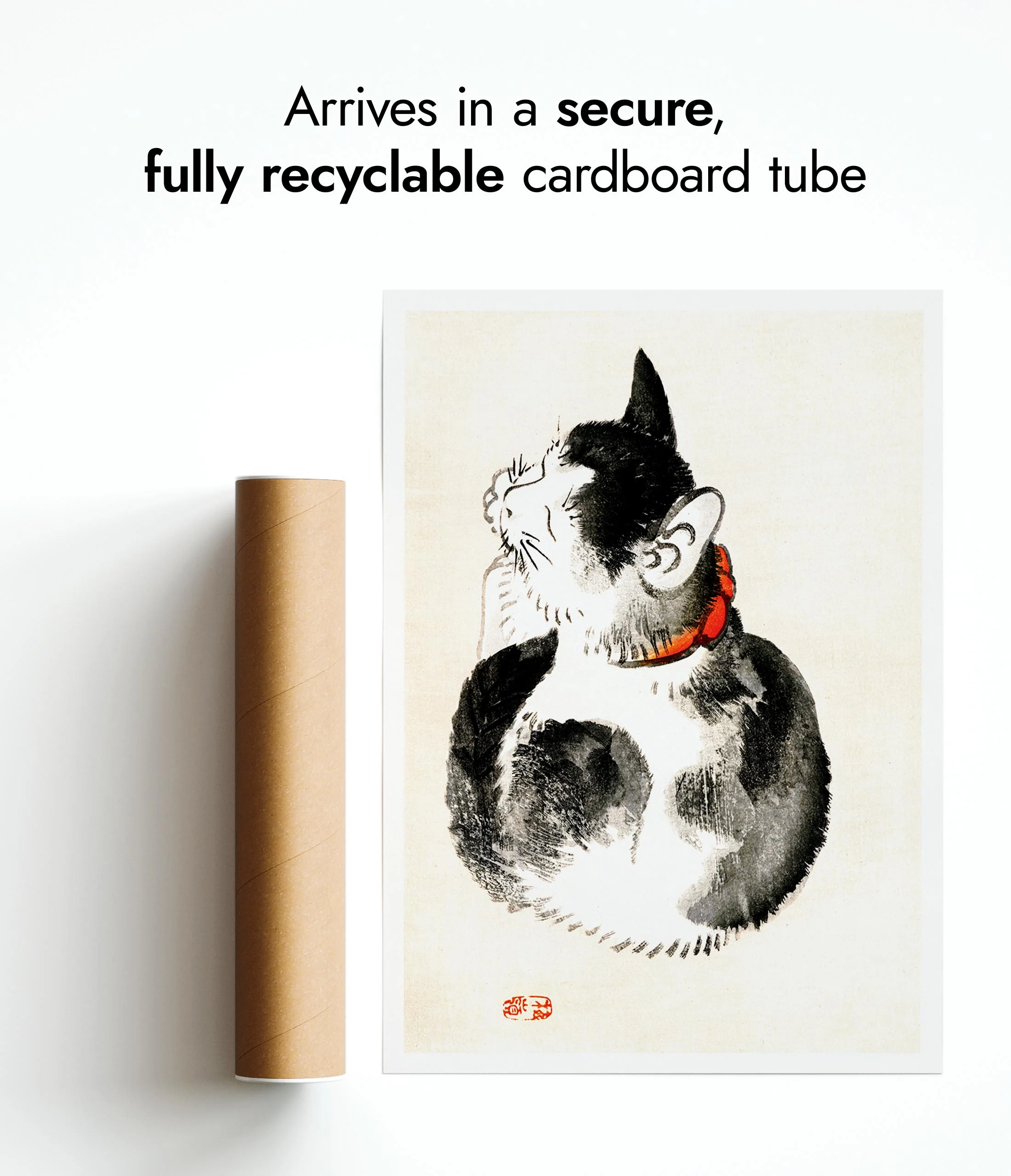 Sleeping Cat - Image 9