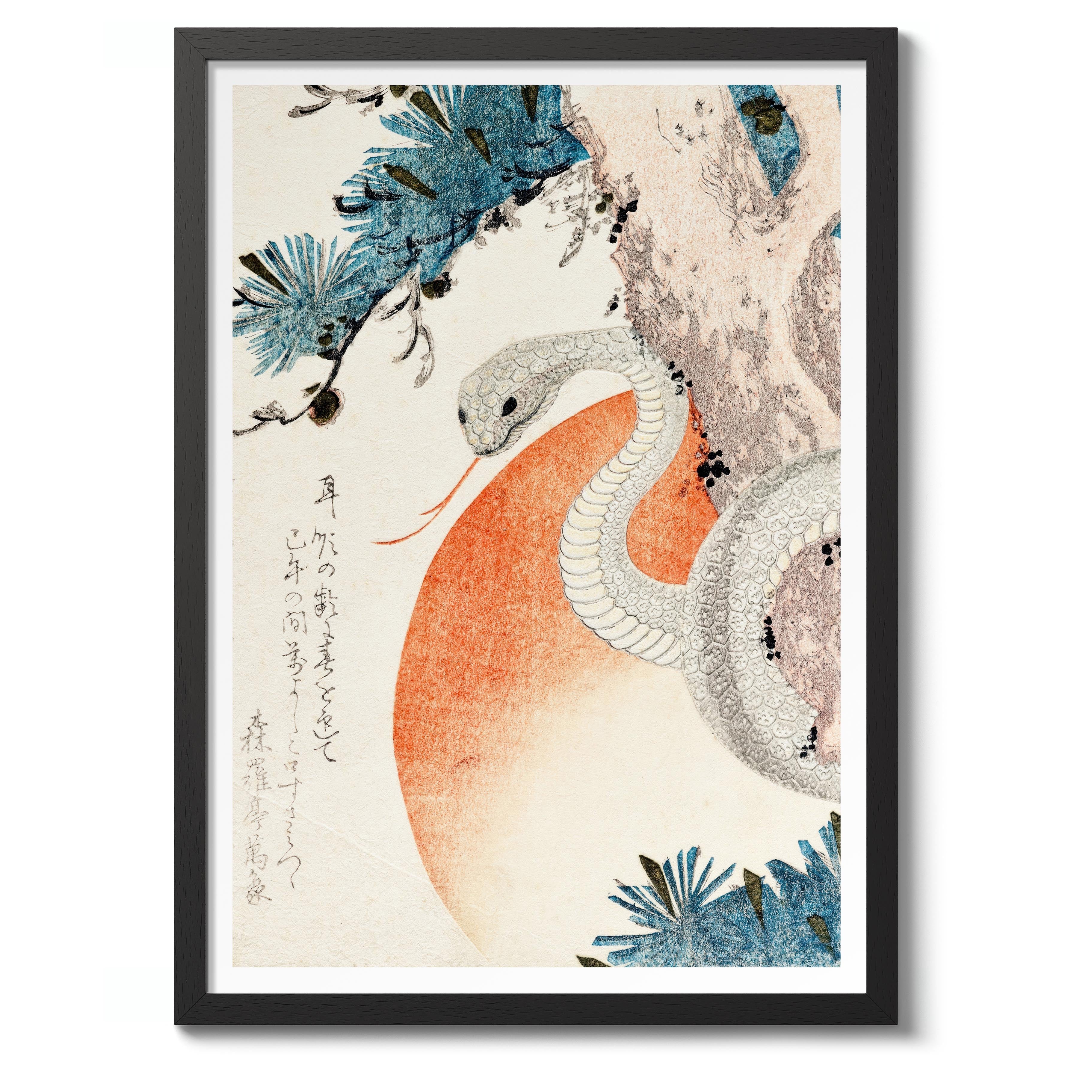 Snake Coiled Around a Pine Tree - Image 2