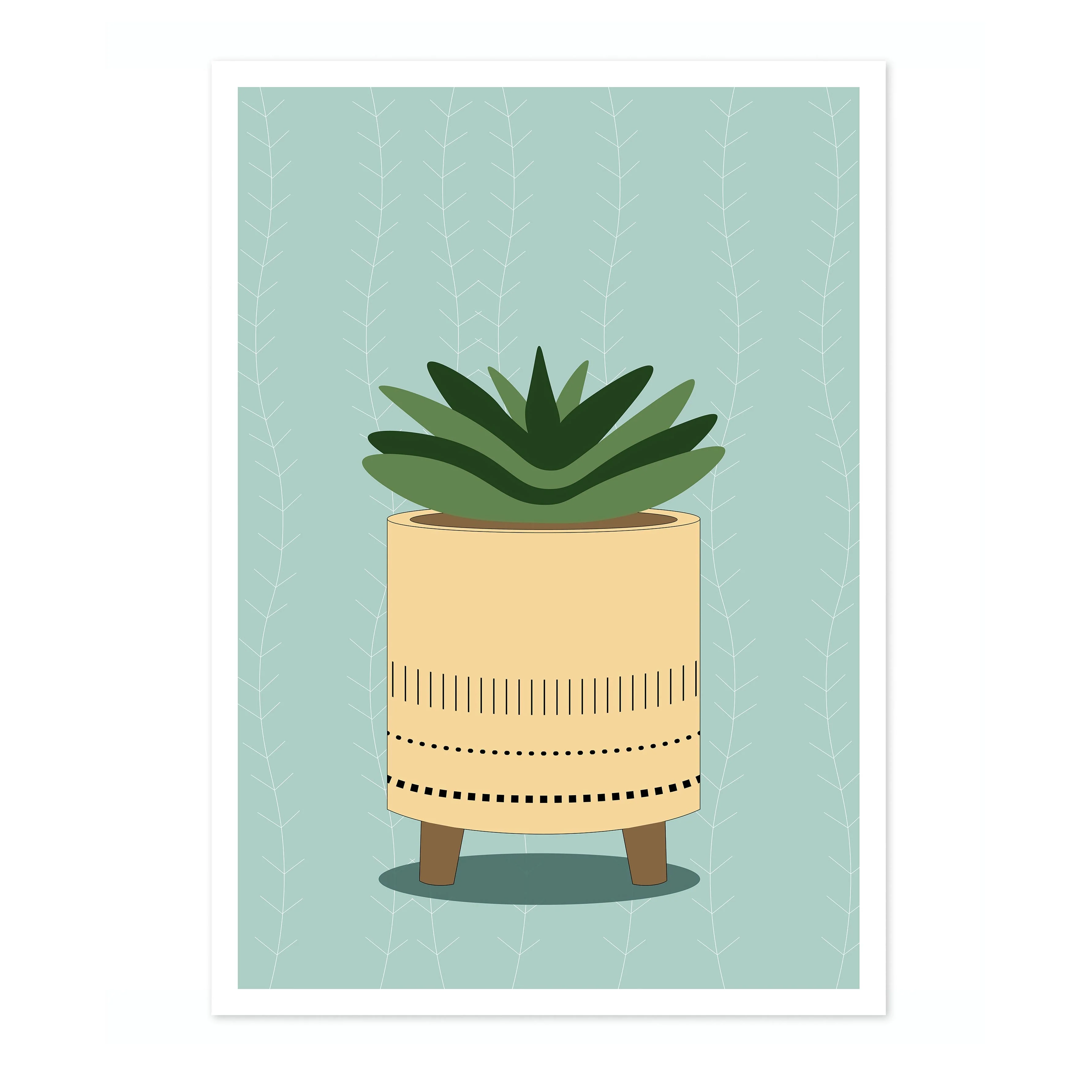 Spiky Succulent - Image 4