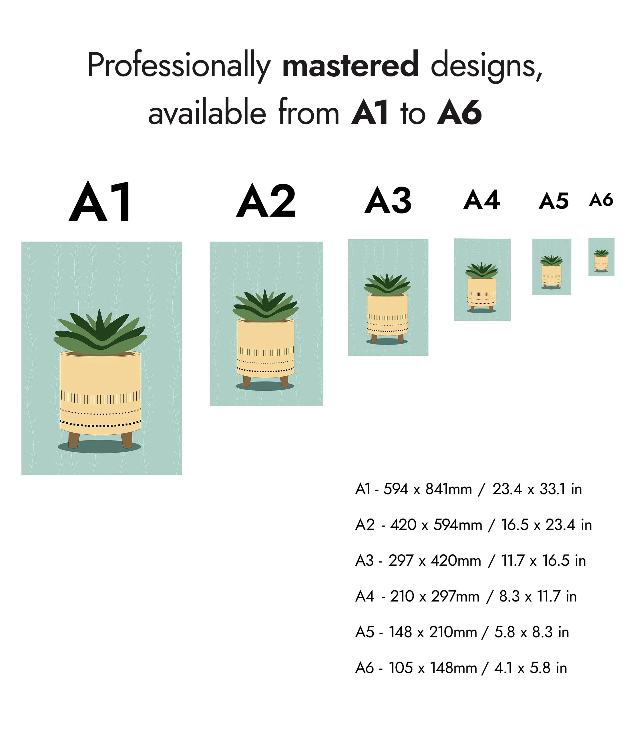 Spiky Succulent - Image 8