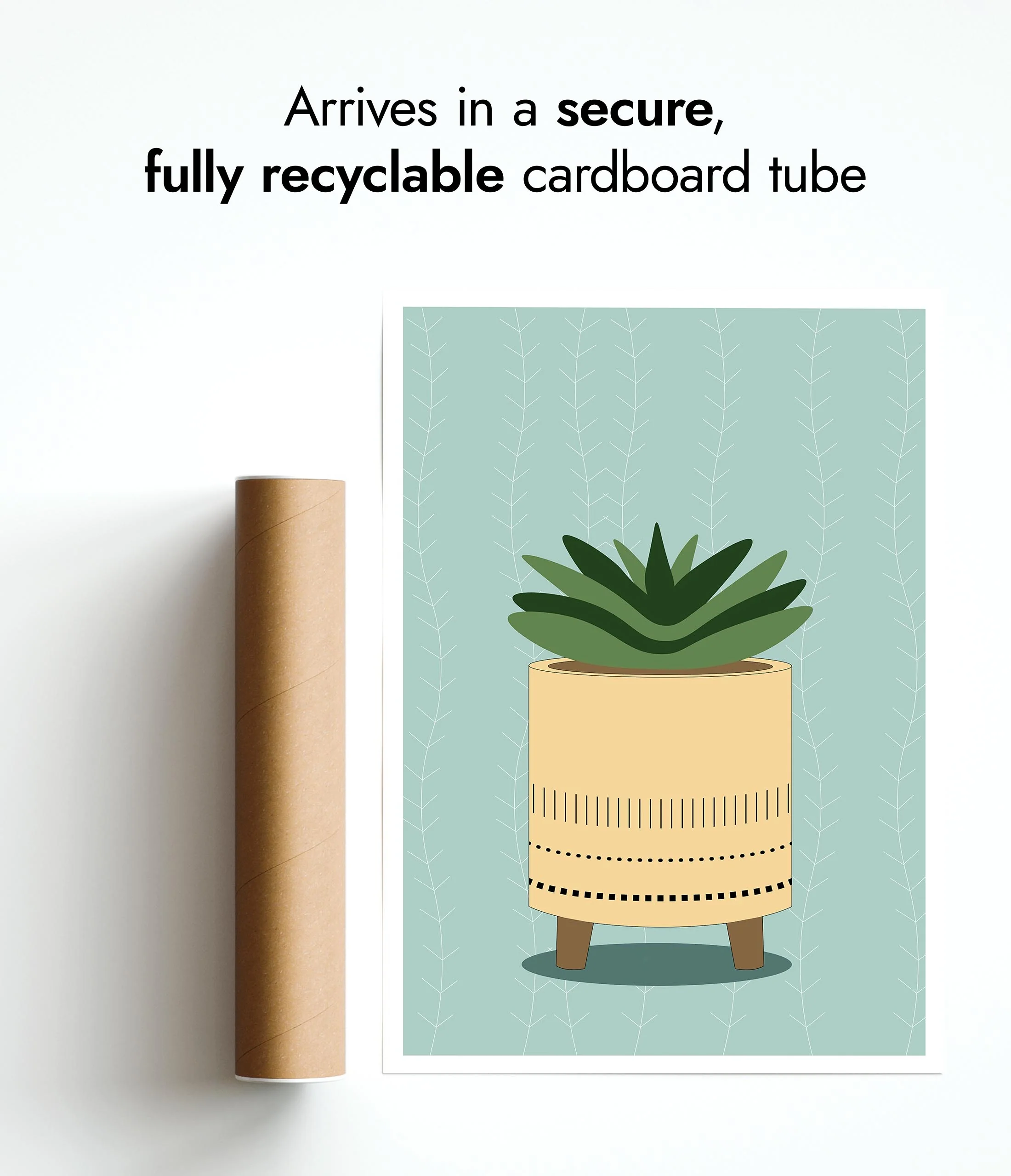 Spiky Succulent - Image 9