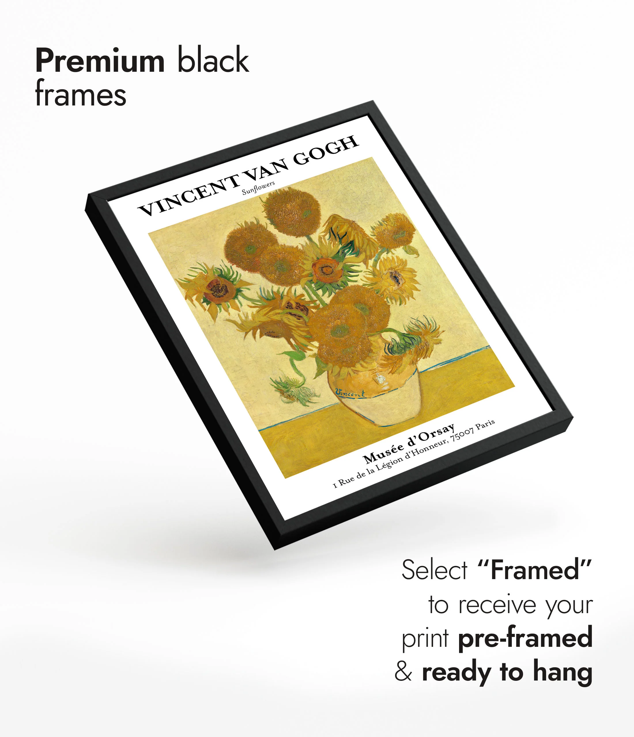 Sunflowers - Image 7