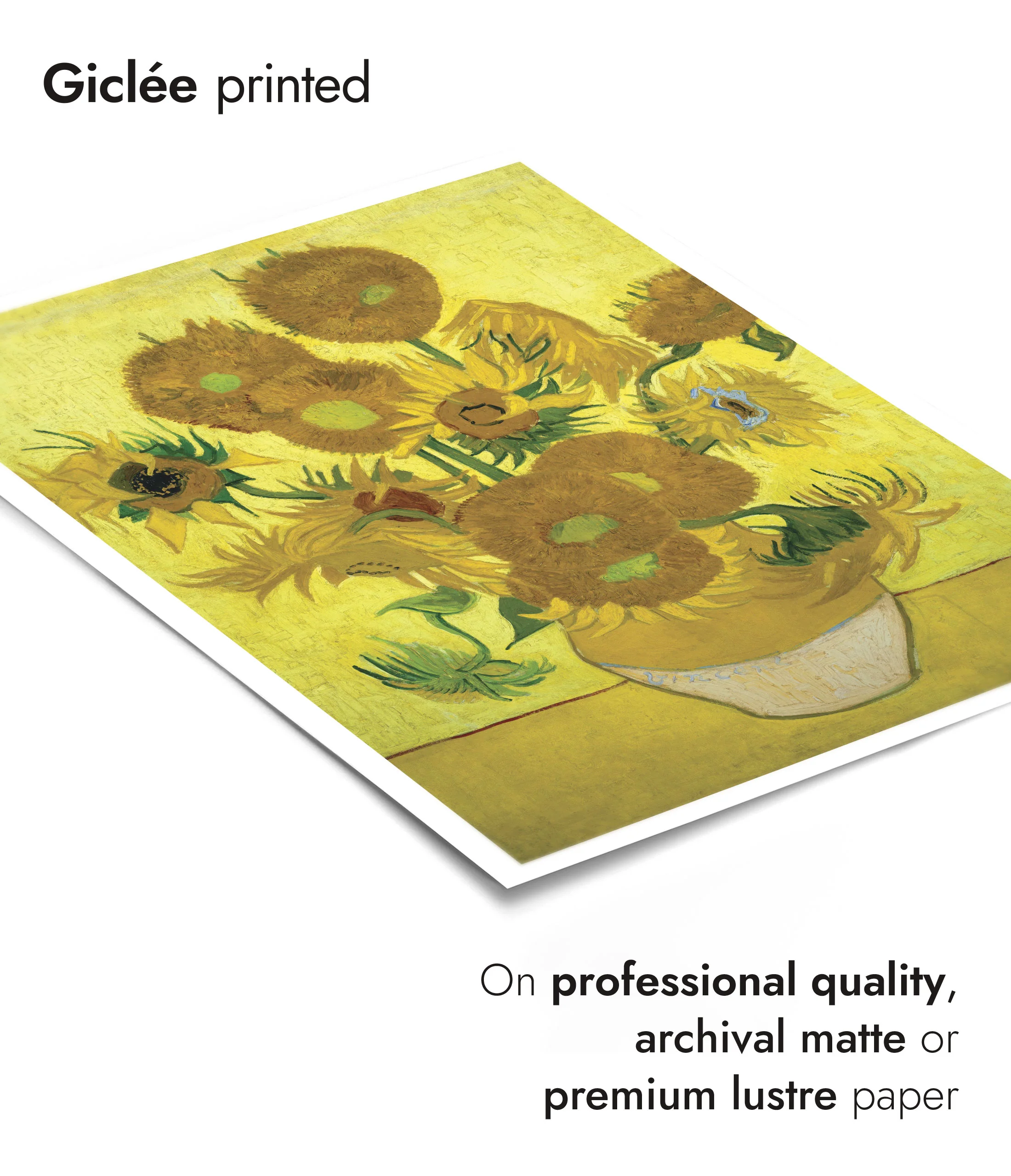 Sunflowers - Image 6