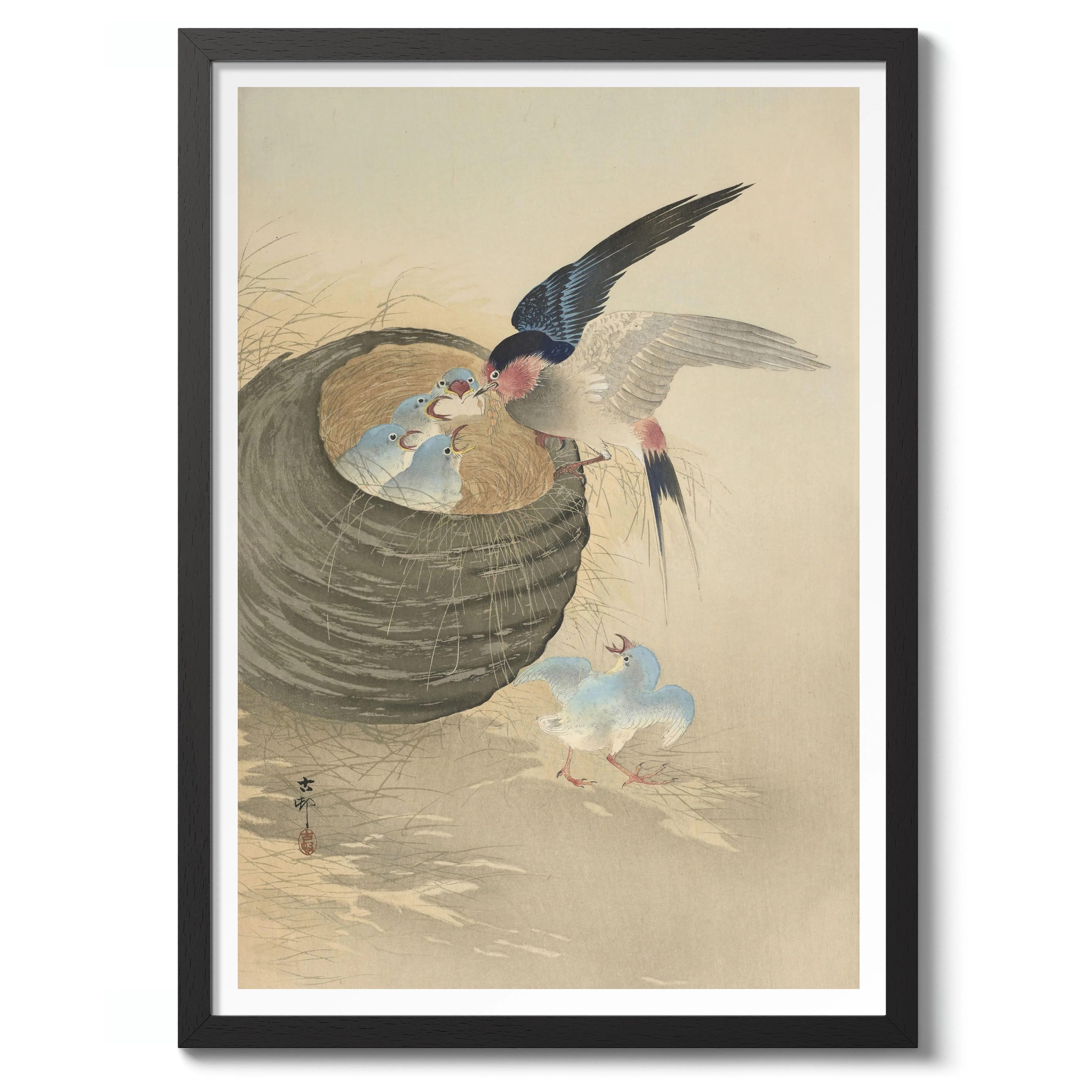 Swallow Feeding Babies in Nest - Image 2