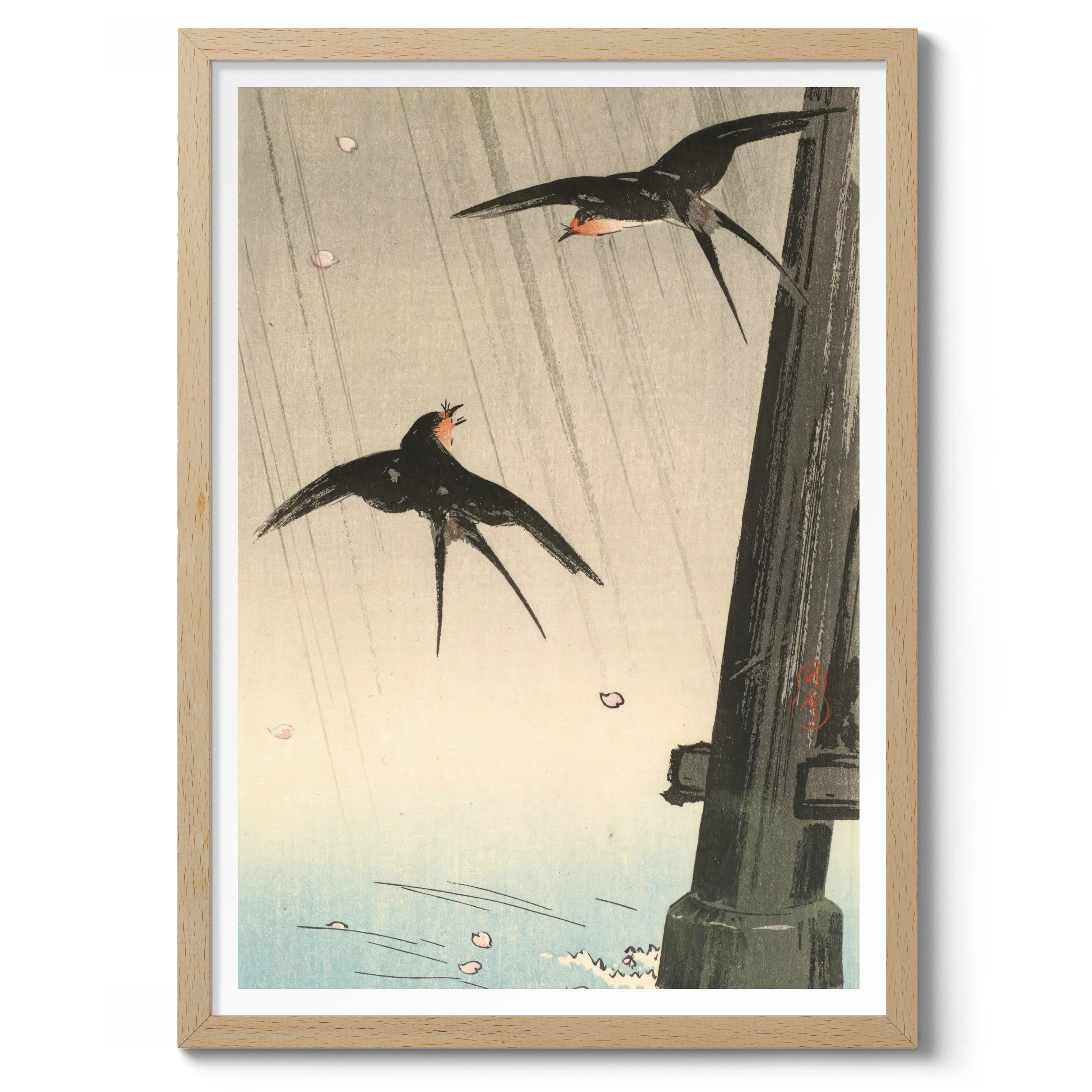 Swallows - Image 3