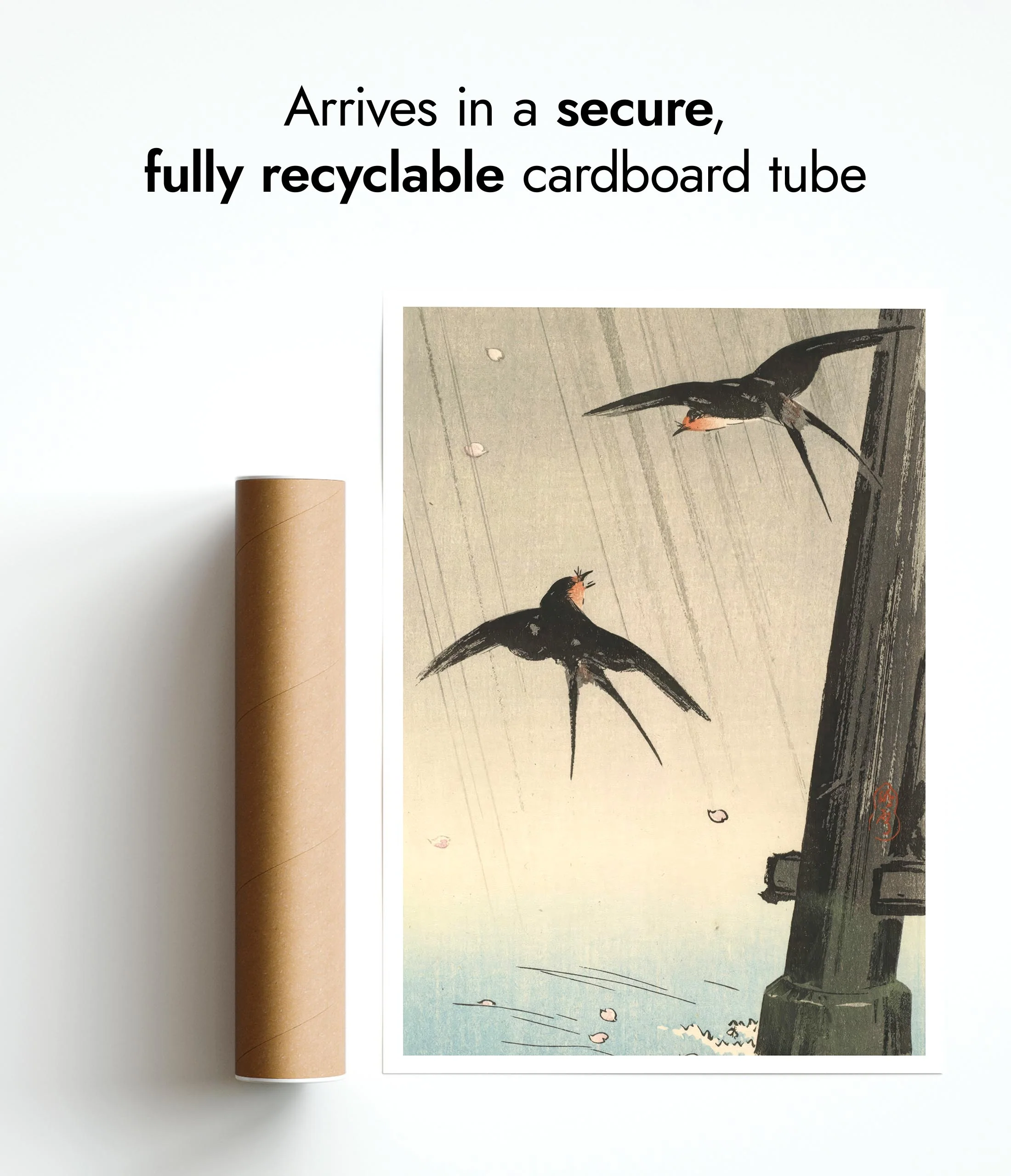 Swallows - Image 9