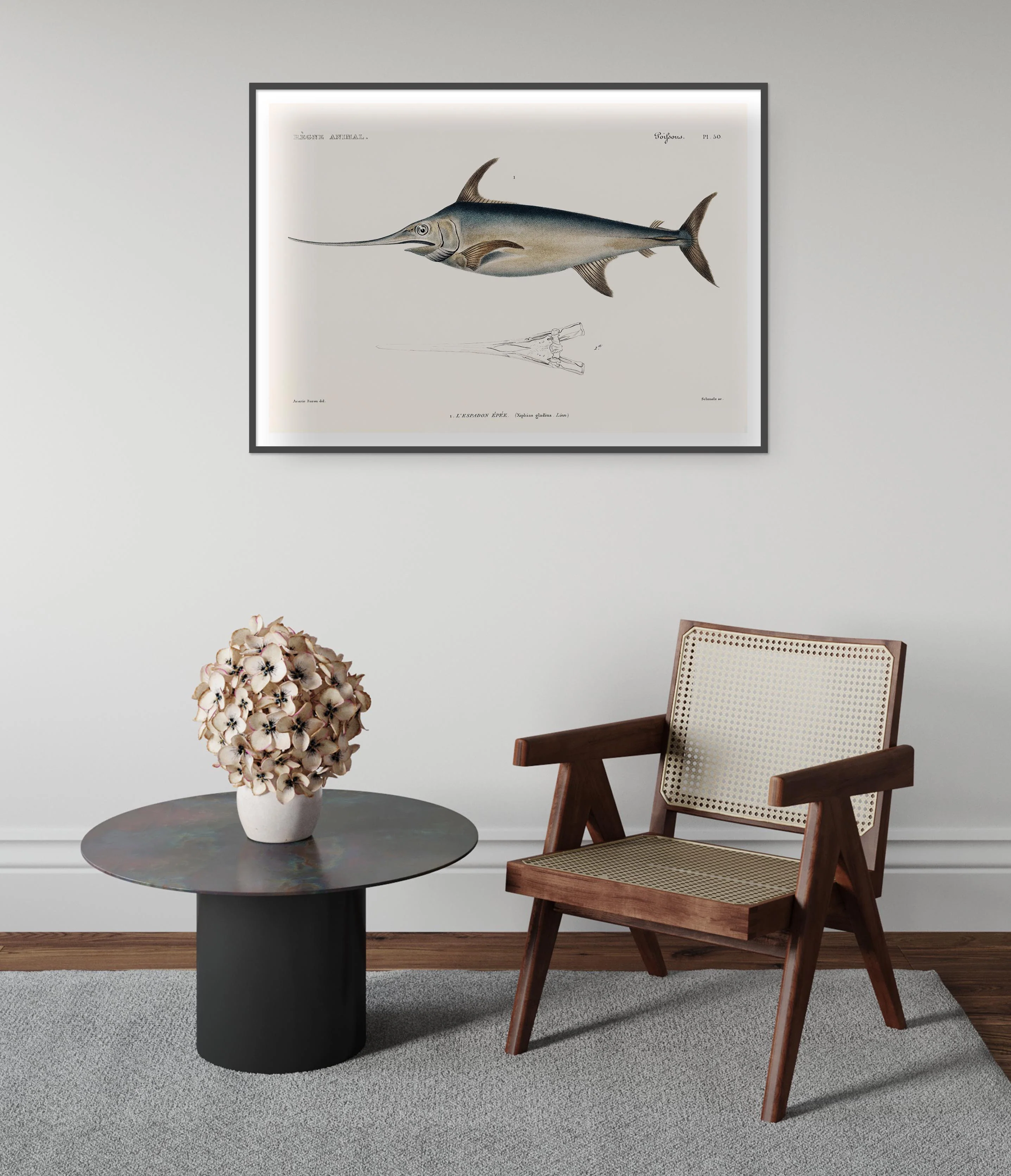 Swordfish - Image 5