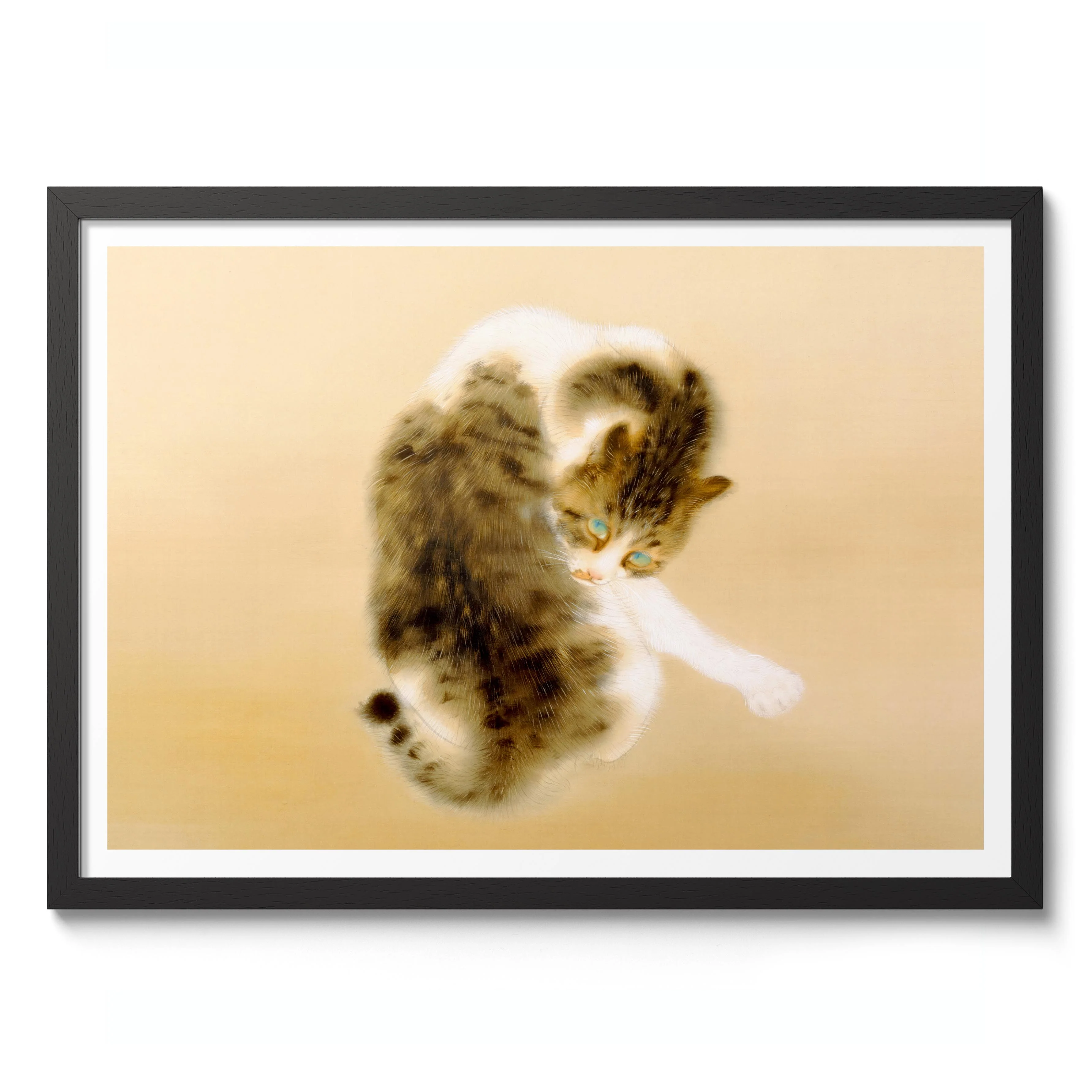 Tabby Cat - Image 2