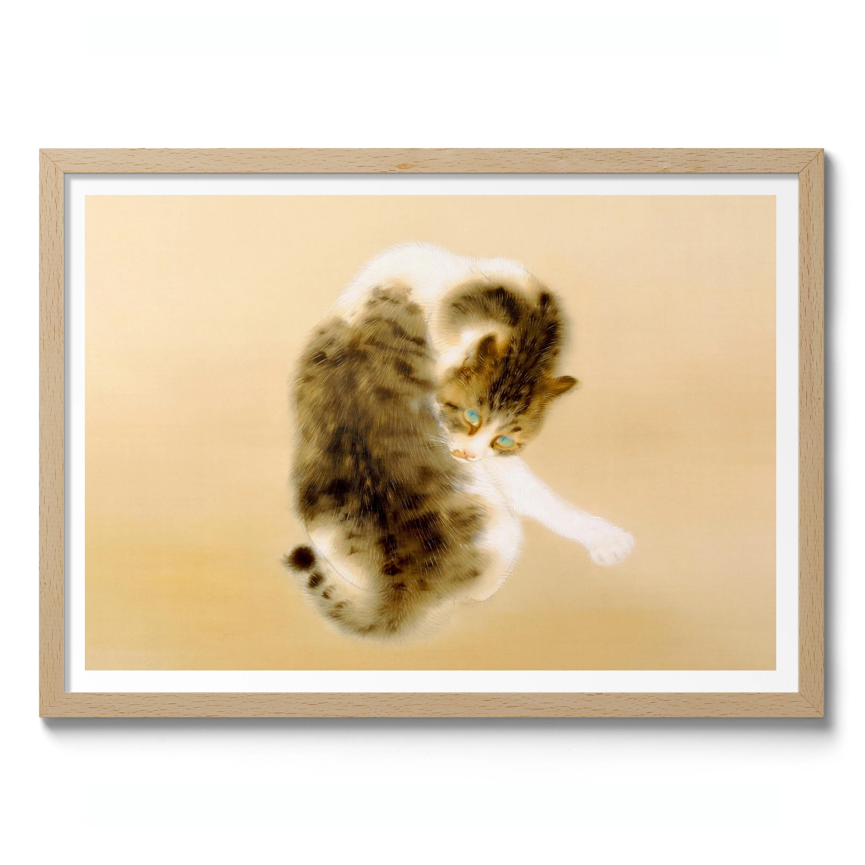 Tabby Cat - Image 3