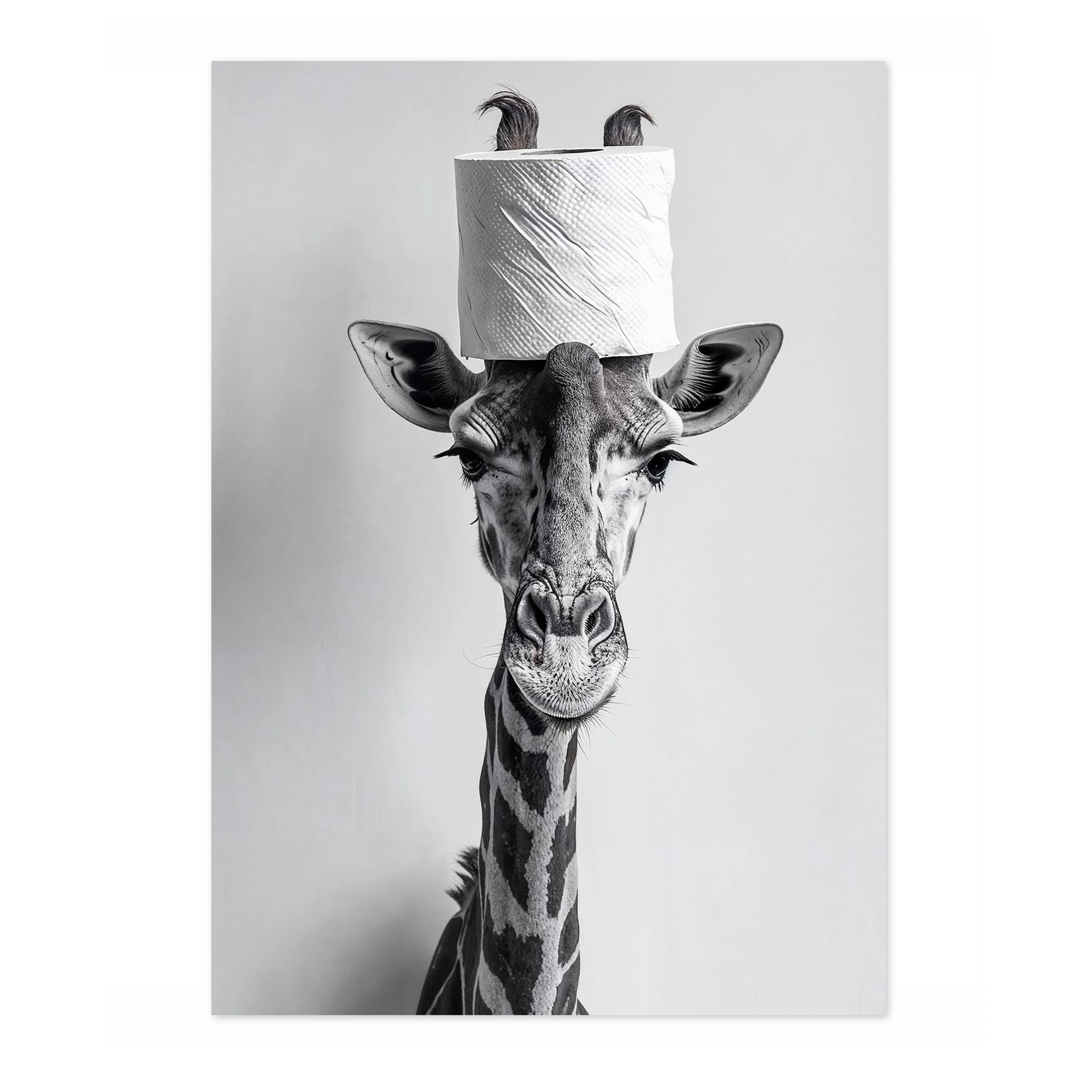 Tall Order - Image 4